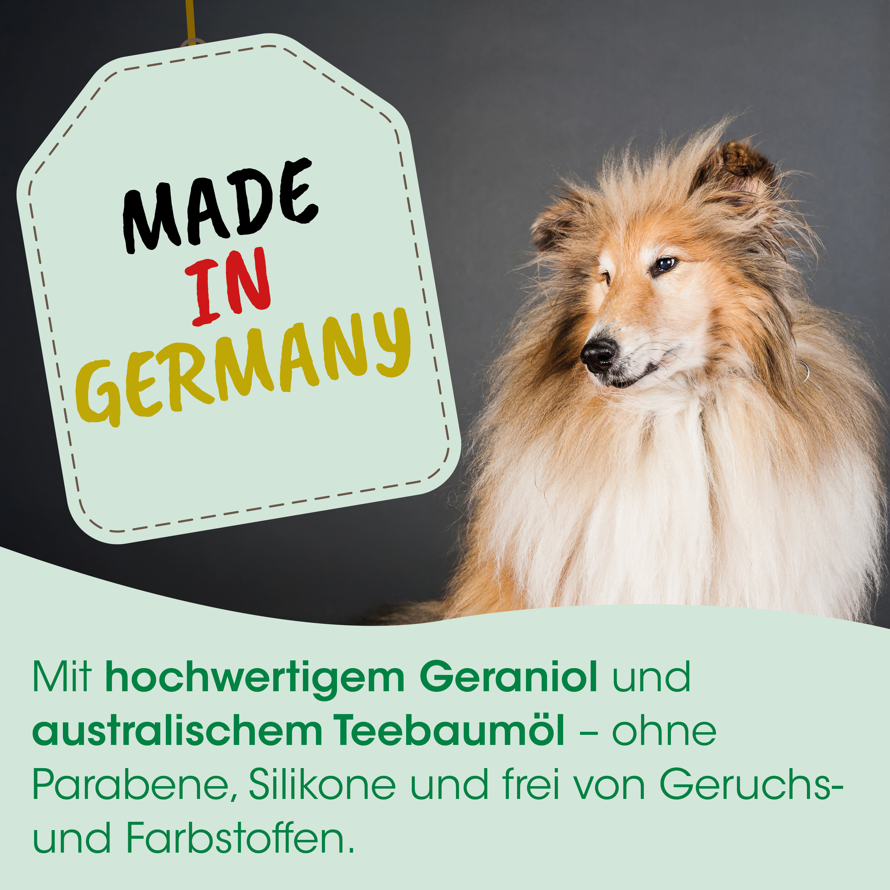 Hund, Collie, Haar, Sicherheit, Label