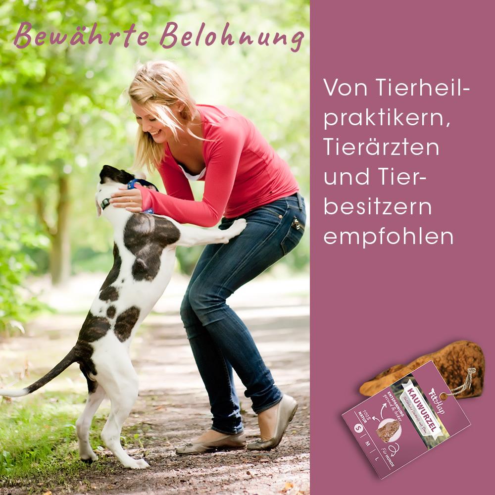 Hund, Hunde Training, Leine, Tierliebe, Outdoor