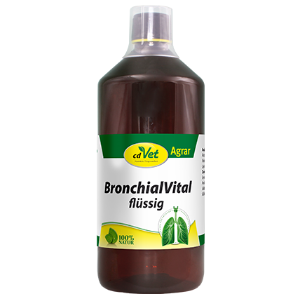 BronchialVital flüssig 1 L
