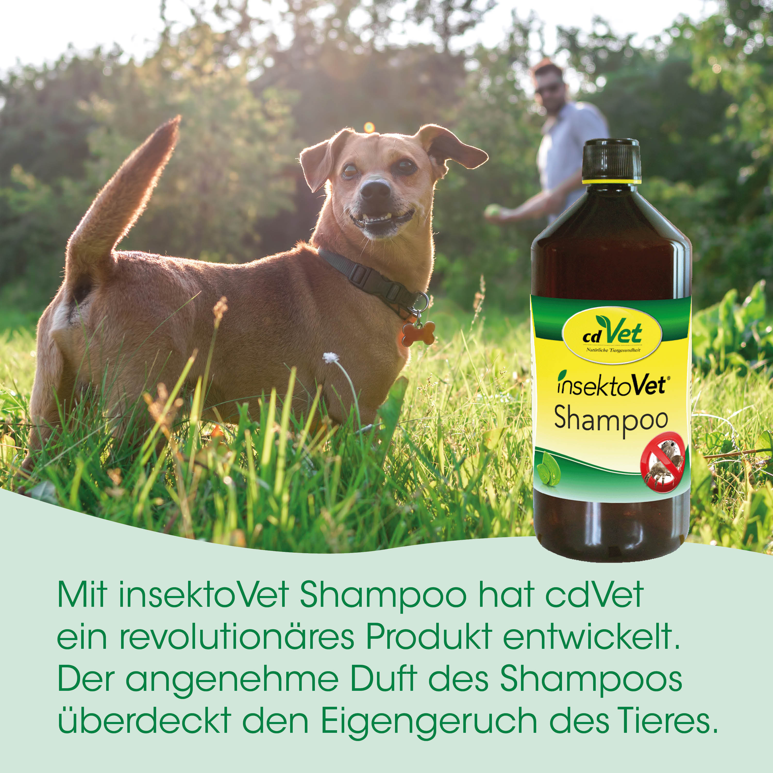 Hund, Shampoo, Insektenschutz, Tiergesundheit, Flasche