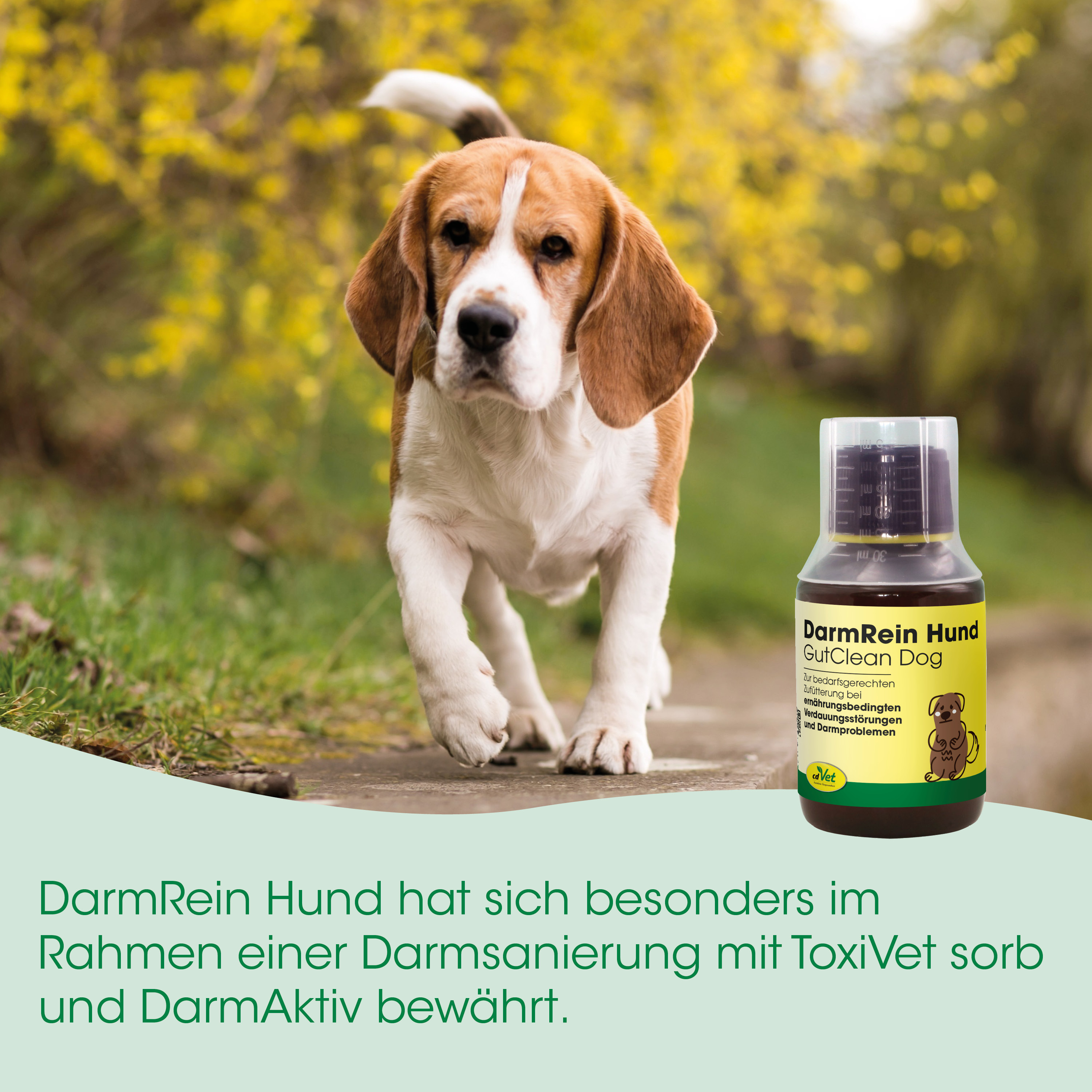 Hund, Behandlung, Darmrein, Flasche, Tierarztprodukt