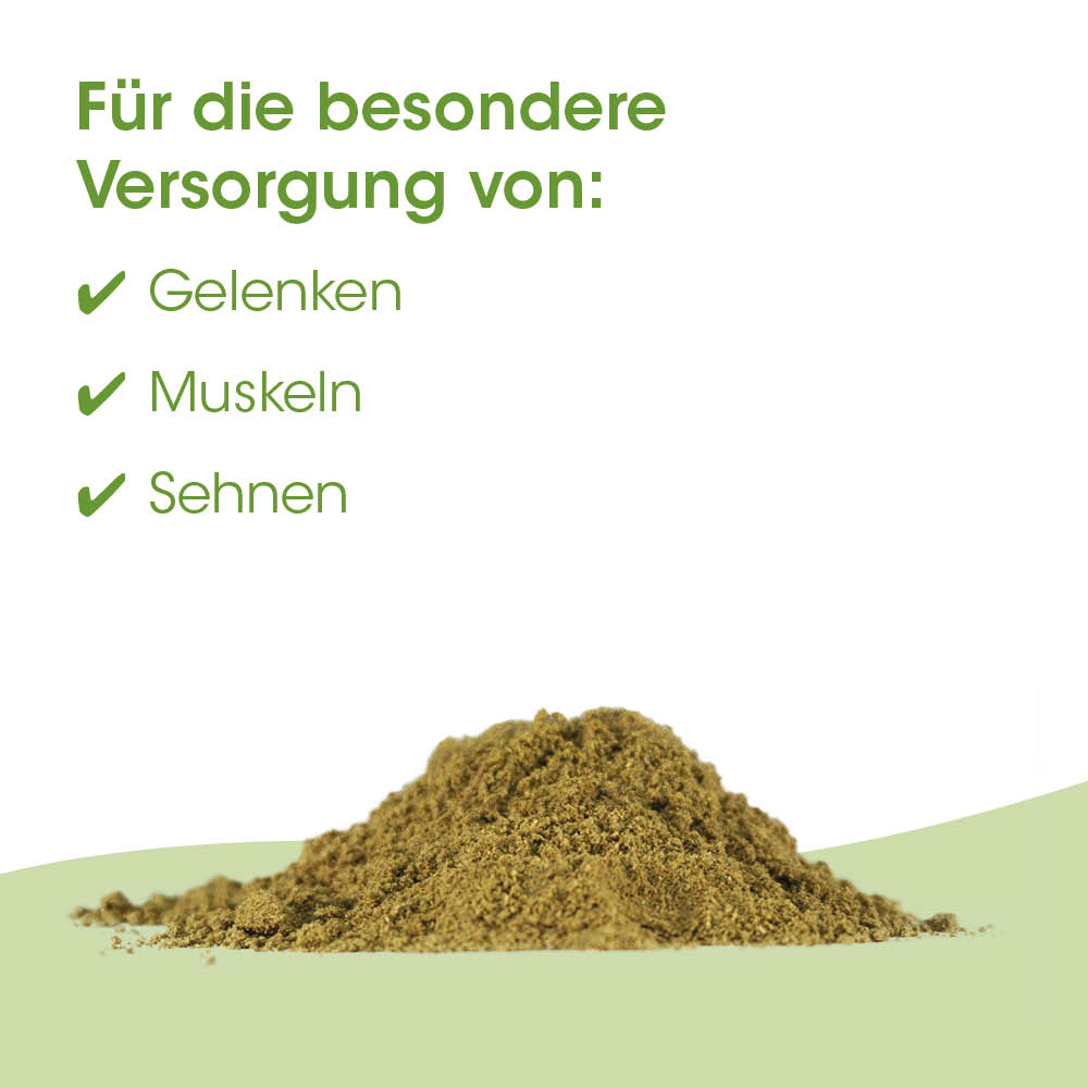 Geldersatz, Kleie, Produktpulver, Puder, Sand