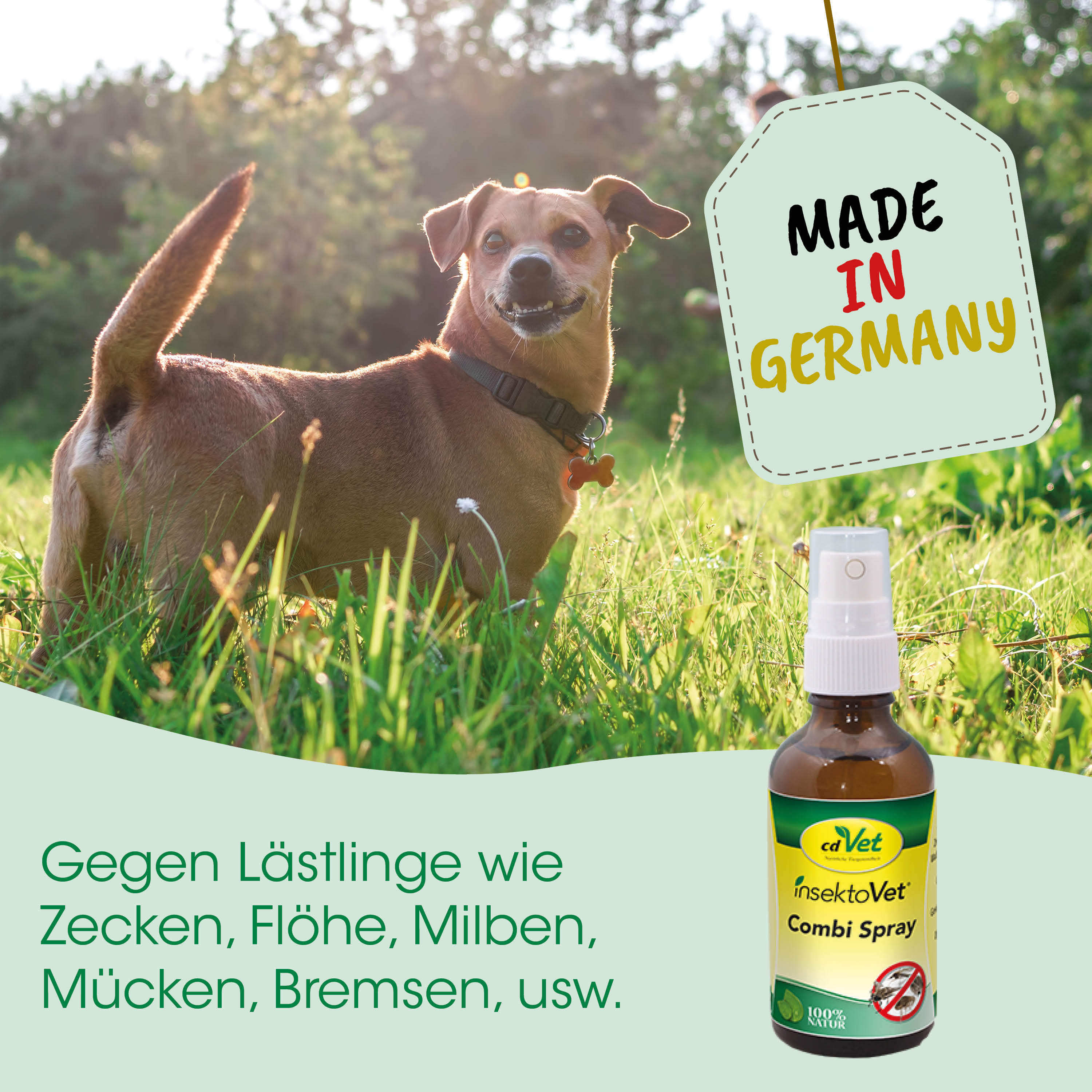 Hund, Hund im Freien, Insektenschutz, Spray, Combi Spray