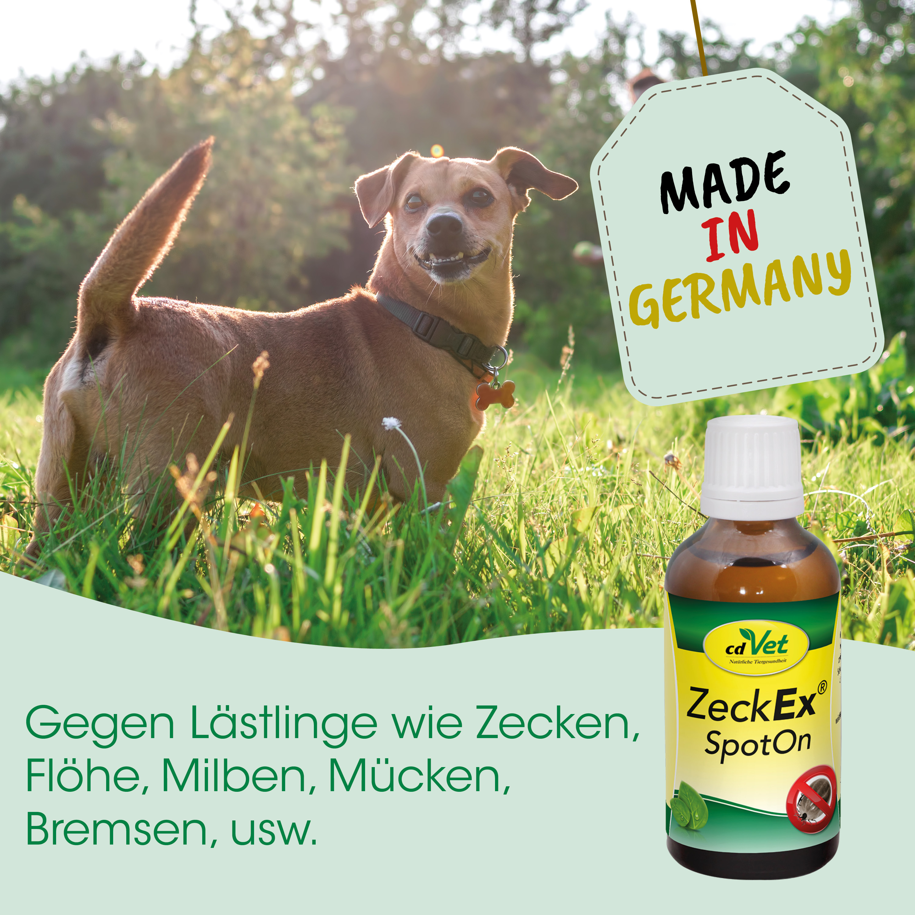 Hund, Tierarztmittel, Zecke, SpotOn, Flasche