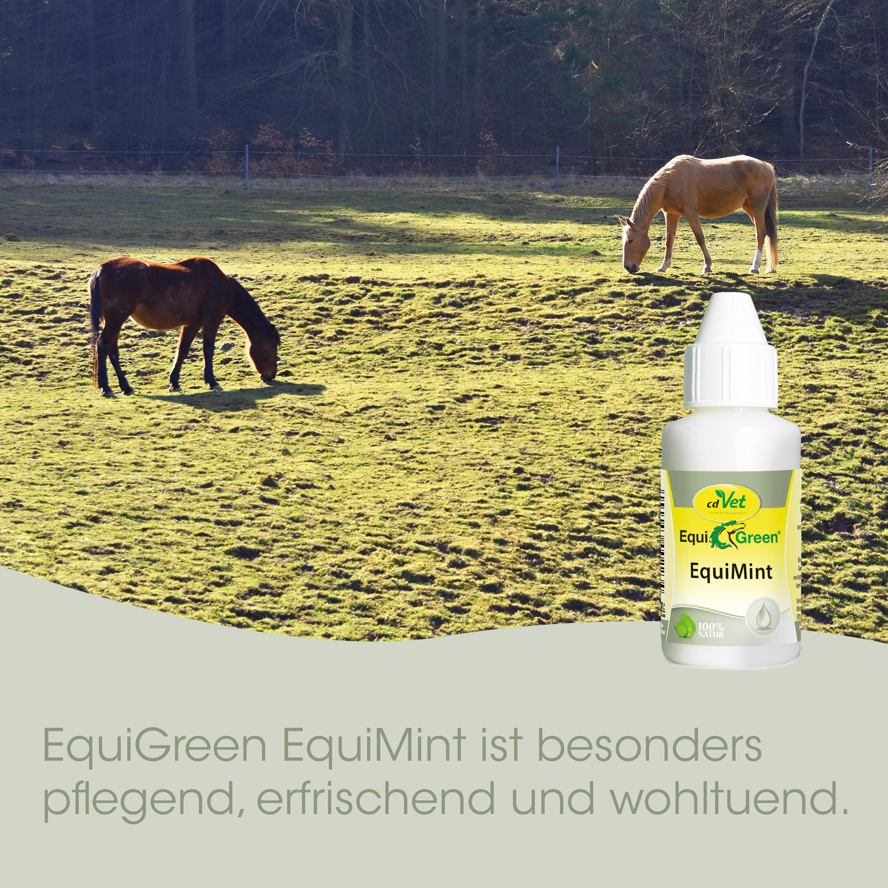 EquiGreen EquiMint 500g