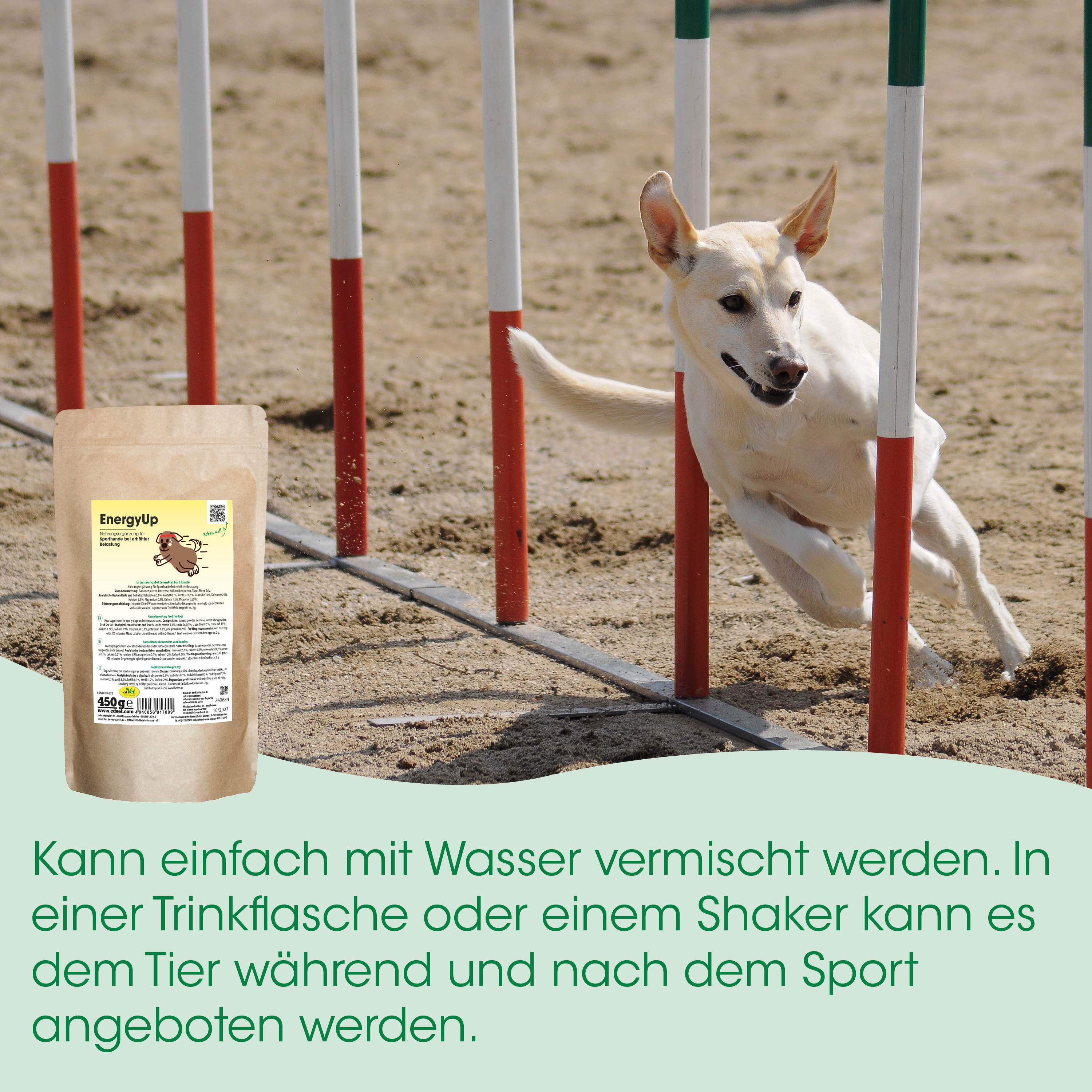 Hund, Agility, Hundefutter, Beutel, Training