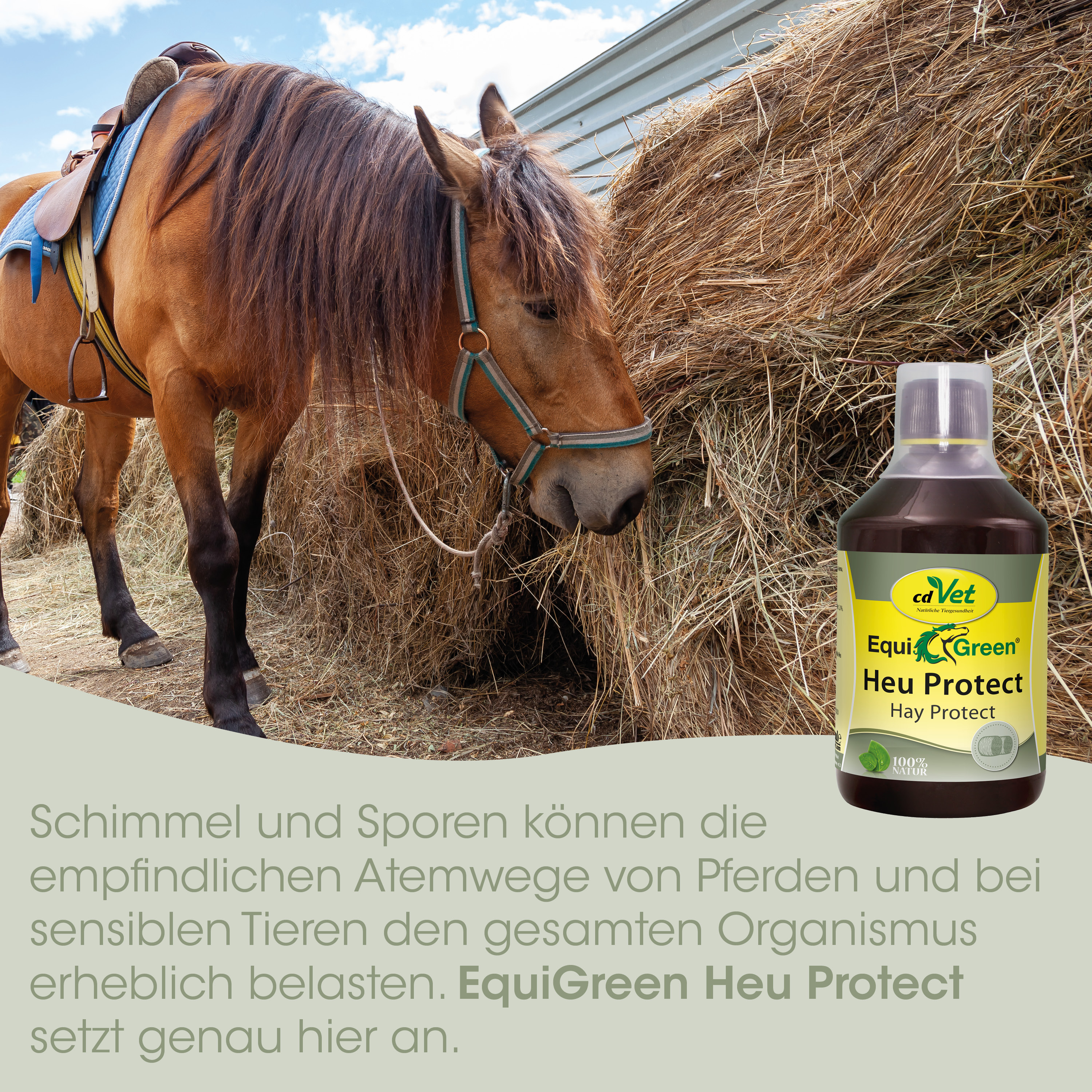 Pferd, Halter, Sattel, Strohballen, EquiGreen Heu Protect
