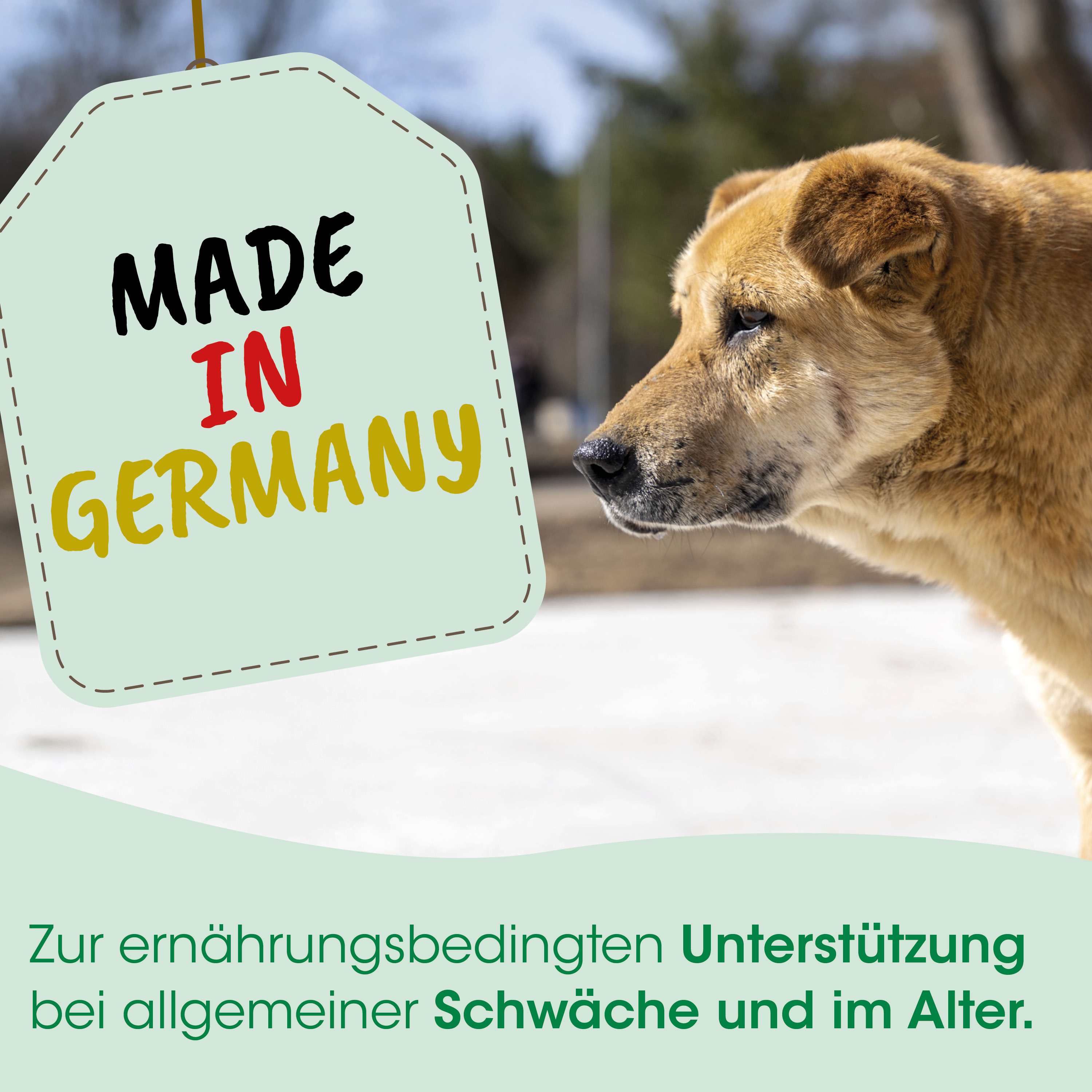 Hund, Hundekopf, braun, fell, Etikett
