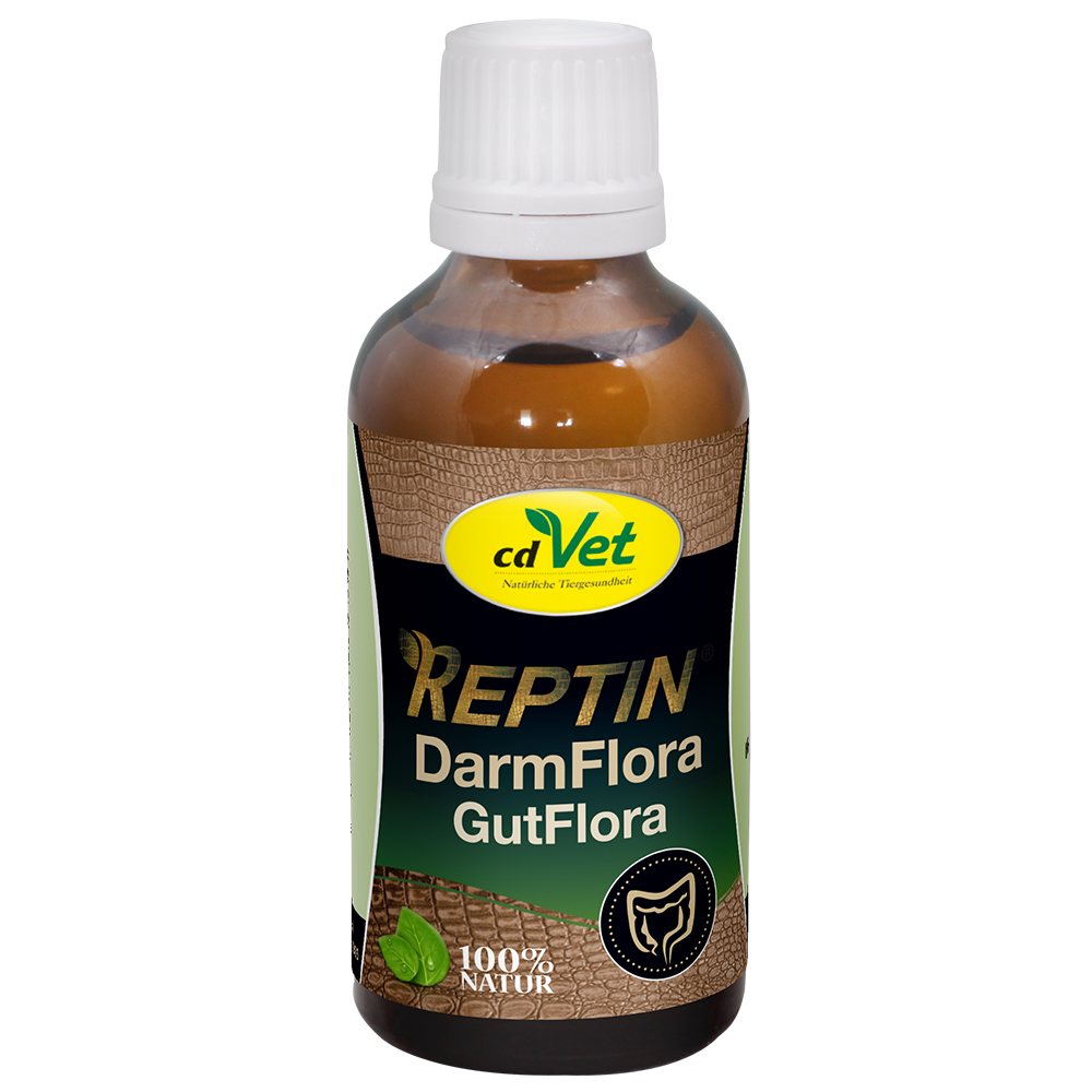 tierarzt, reptin, darmflora, gutflora, natürlich