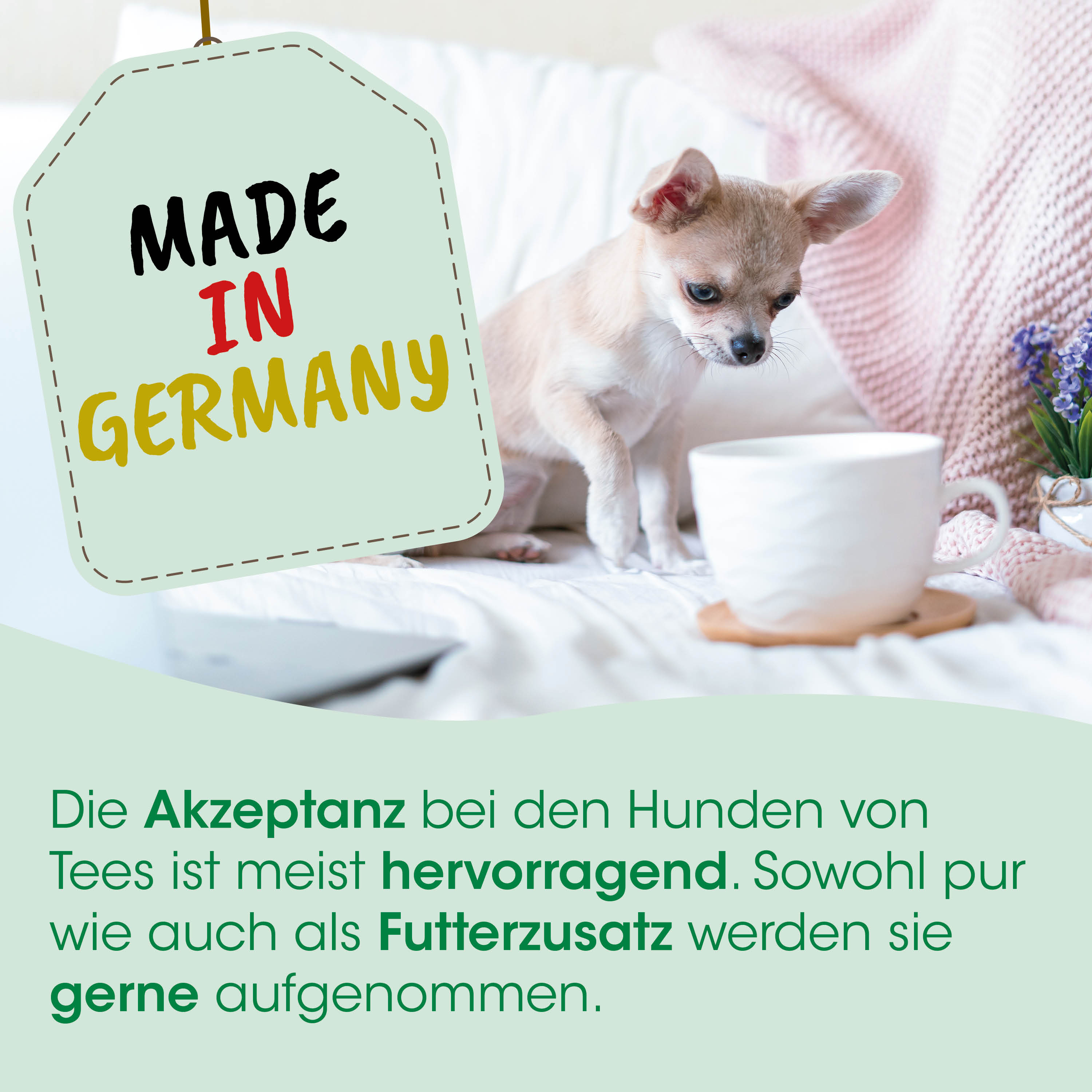 Chihuahua, Hund, Kuscheltier, Tasse, Made in Germany
