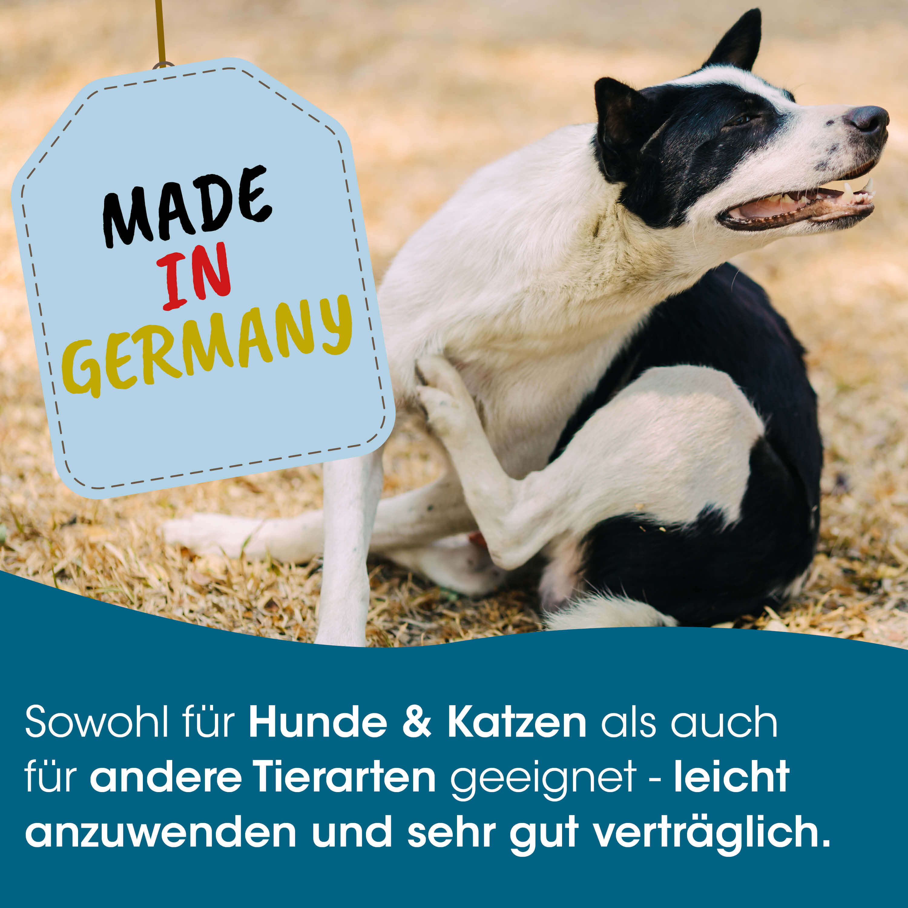 Hund, Schwarz-Weiß, Birne?, Text an Schild, Schildtext