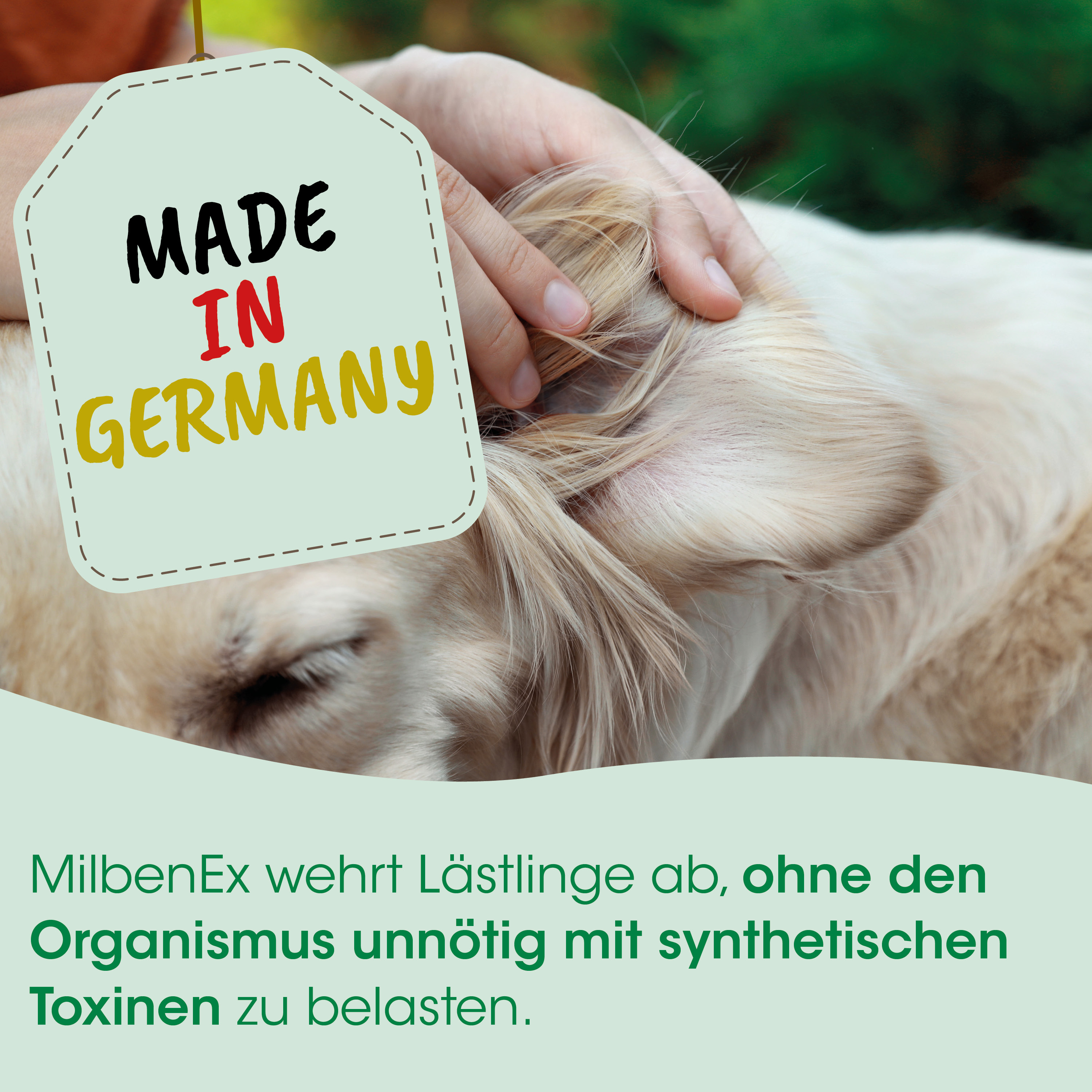 Hund, Tier, Marke, Made in Germany, Etikett