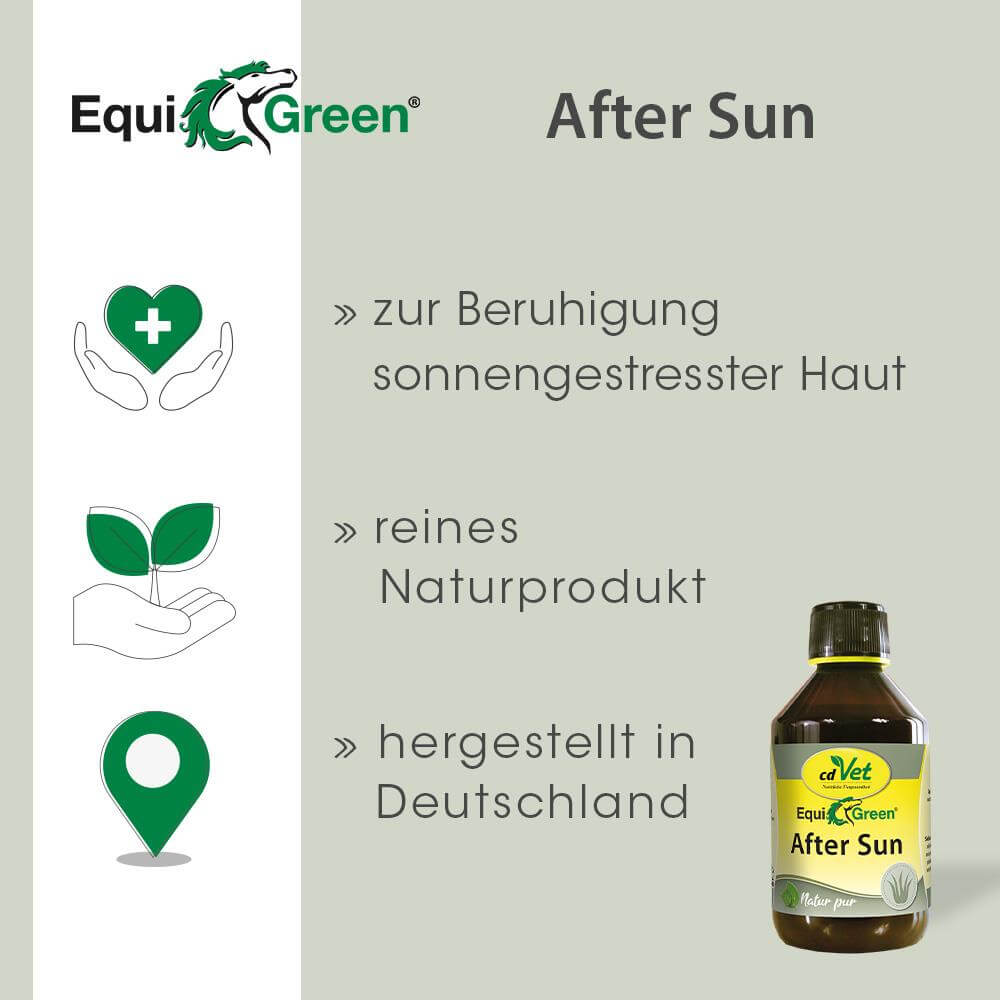 Essen, Würzen, Sirup, Kräuterig, Pflanze