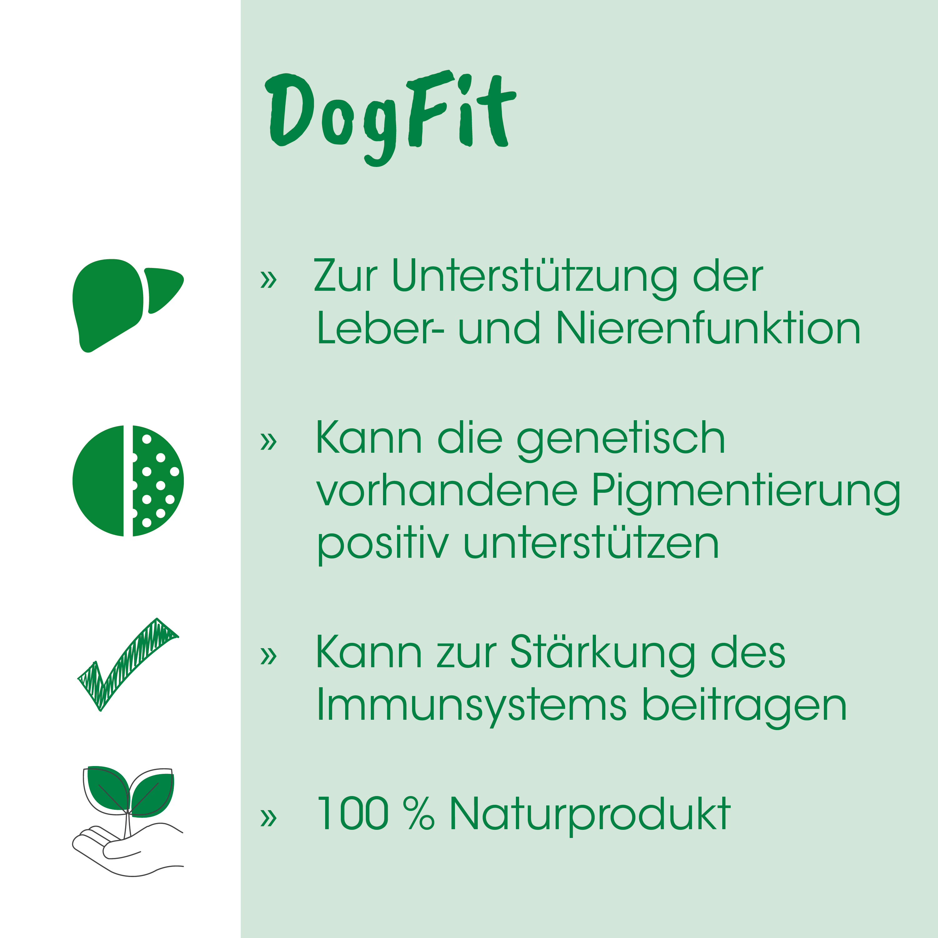 Hundefutter, Protein, Natürliches Produkt, grünes Häkchen, Pflanzen-Symbol