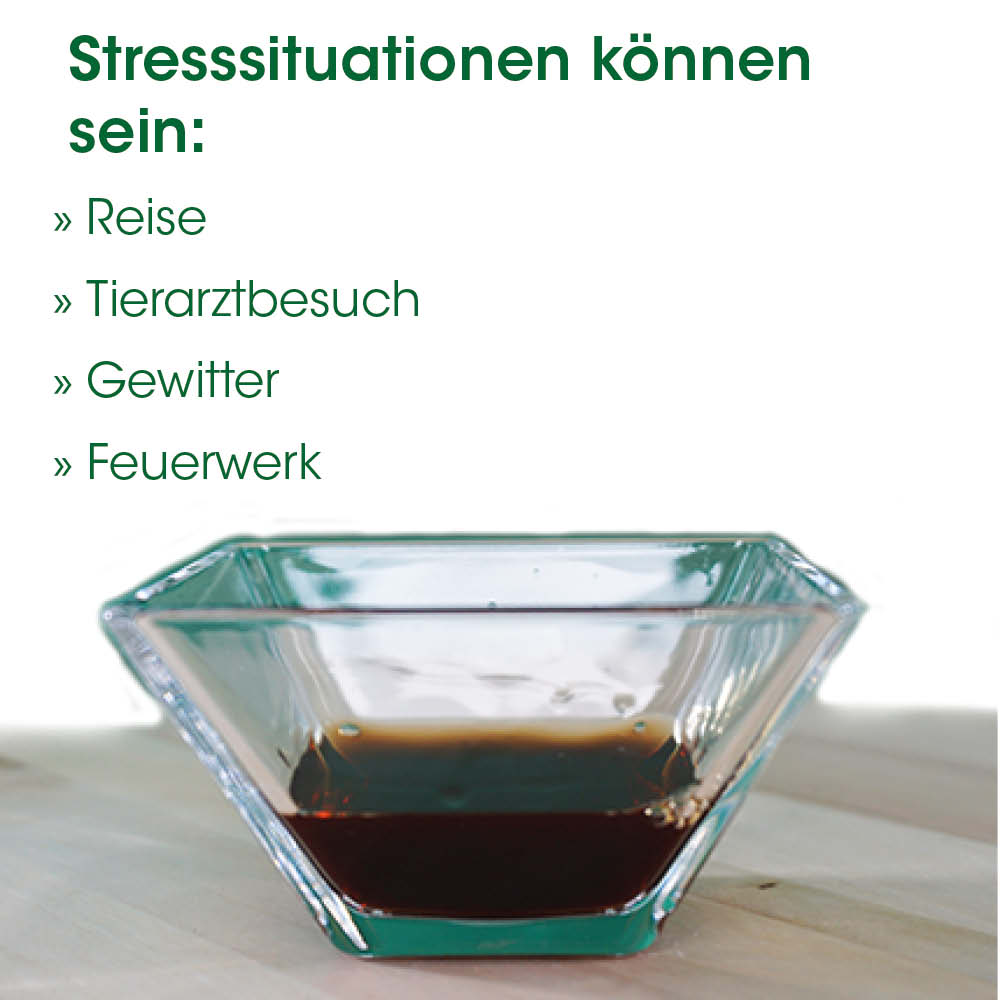 Schale, Glasbehälter, Dunkle Flüssigkeit, Dekoration, Klarnose?