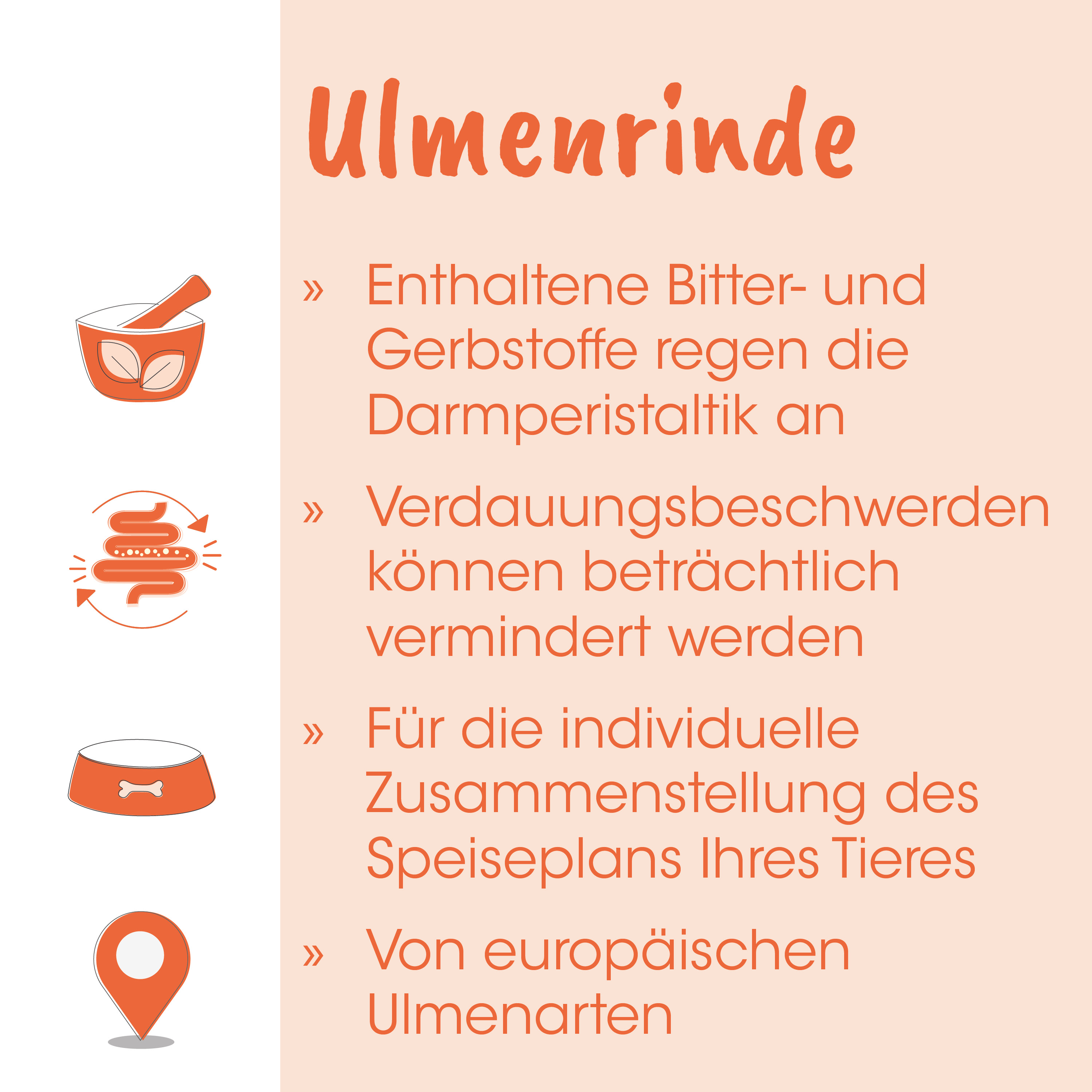 Ulmenrinde, Bitterstoffe, Gerbstoffe, Darmperistatik, Infotext