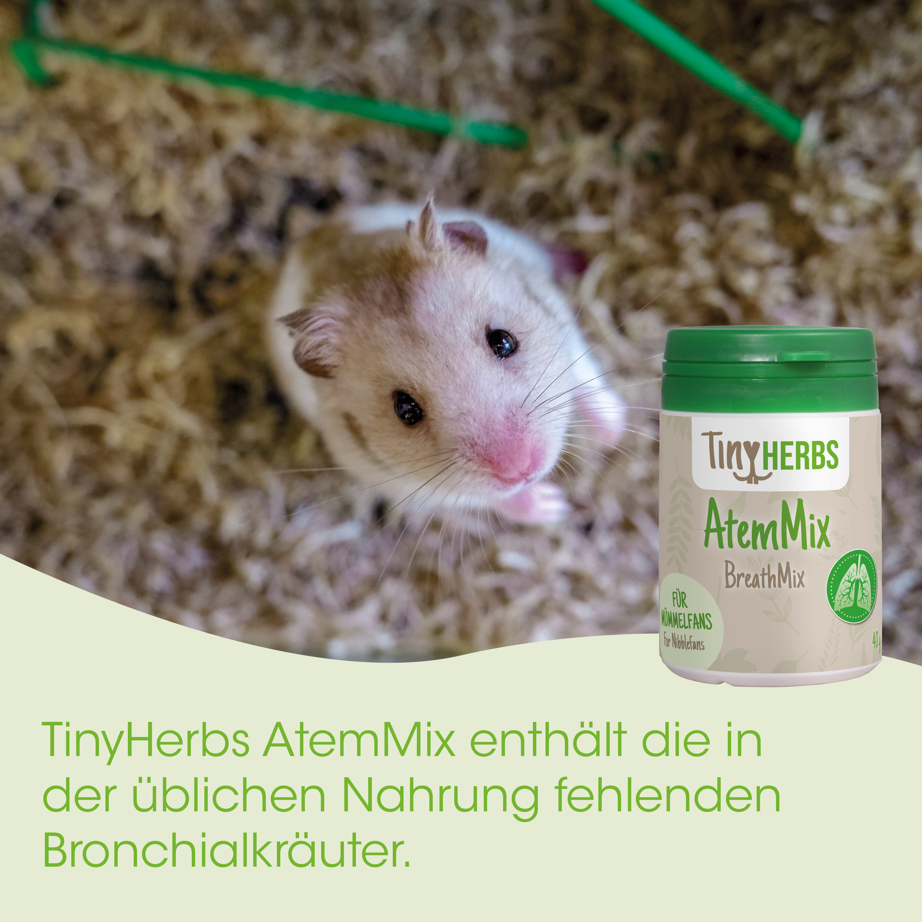 hamster, tier, grün, breathmix, tinyherbs