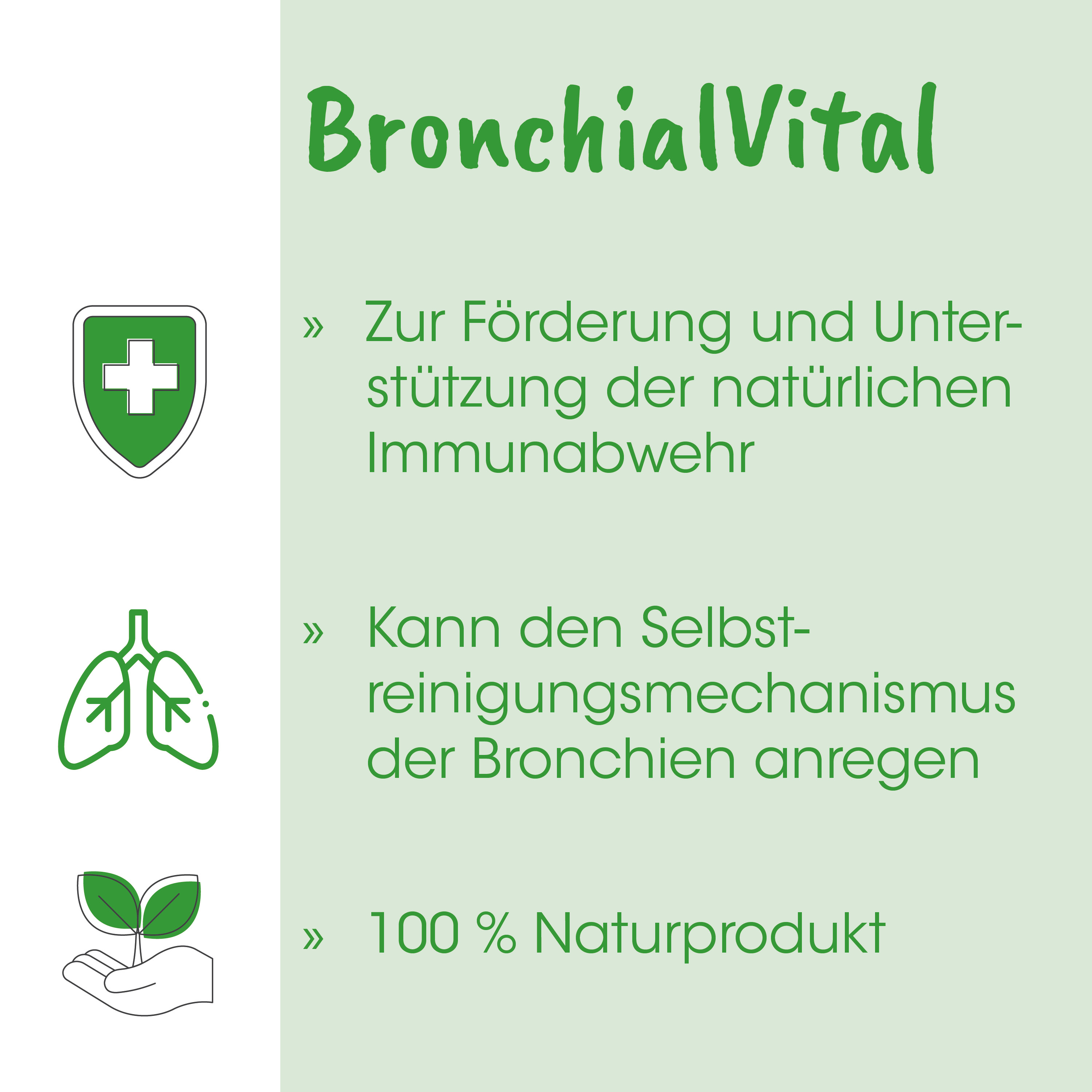 grün, blatt, Lungen-Symbol, Schild-Symbol, naturprodukt