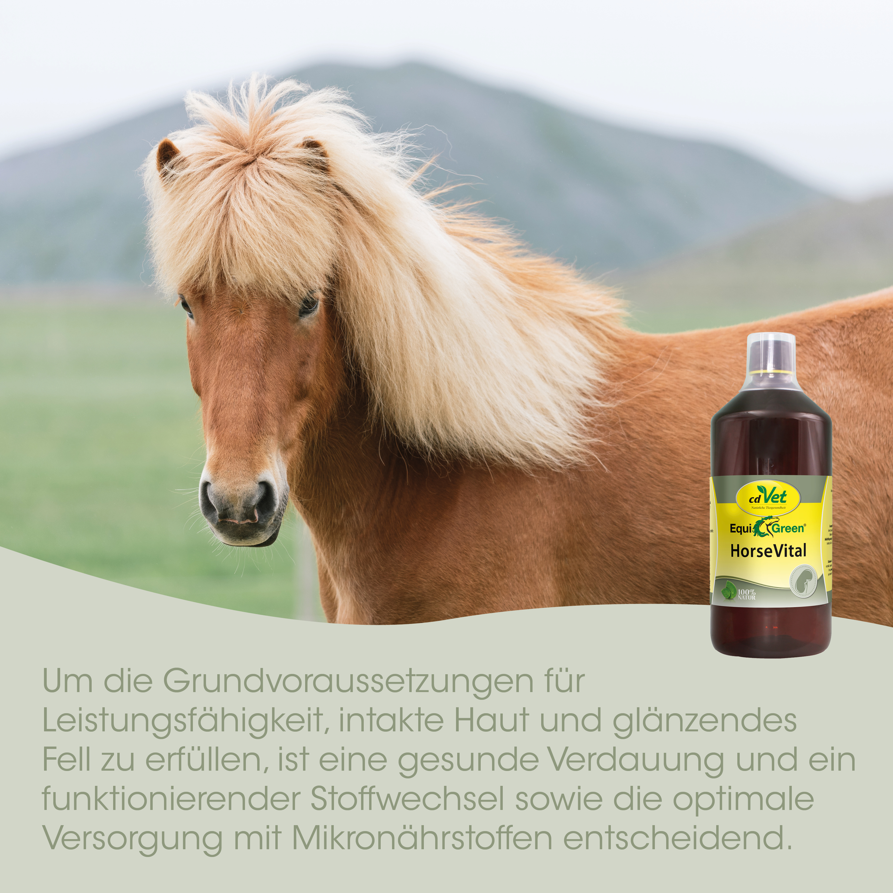 Pferd, Hufreitzufuhr, Flüssige Flasche, Pferdegesundheit, Vitalstoffergänzung