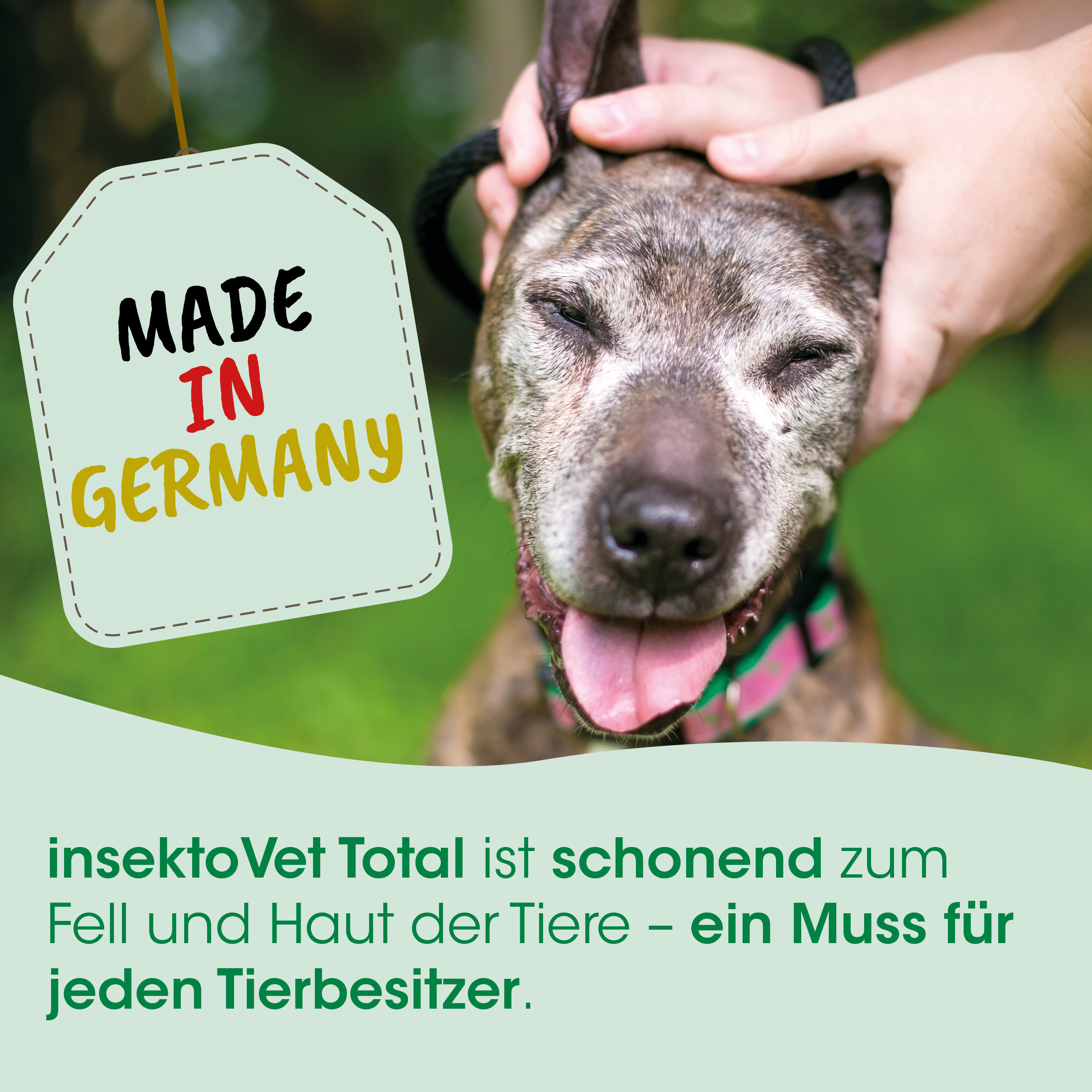 Hund, Tier, Halsband, Etikett, Made in Germany