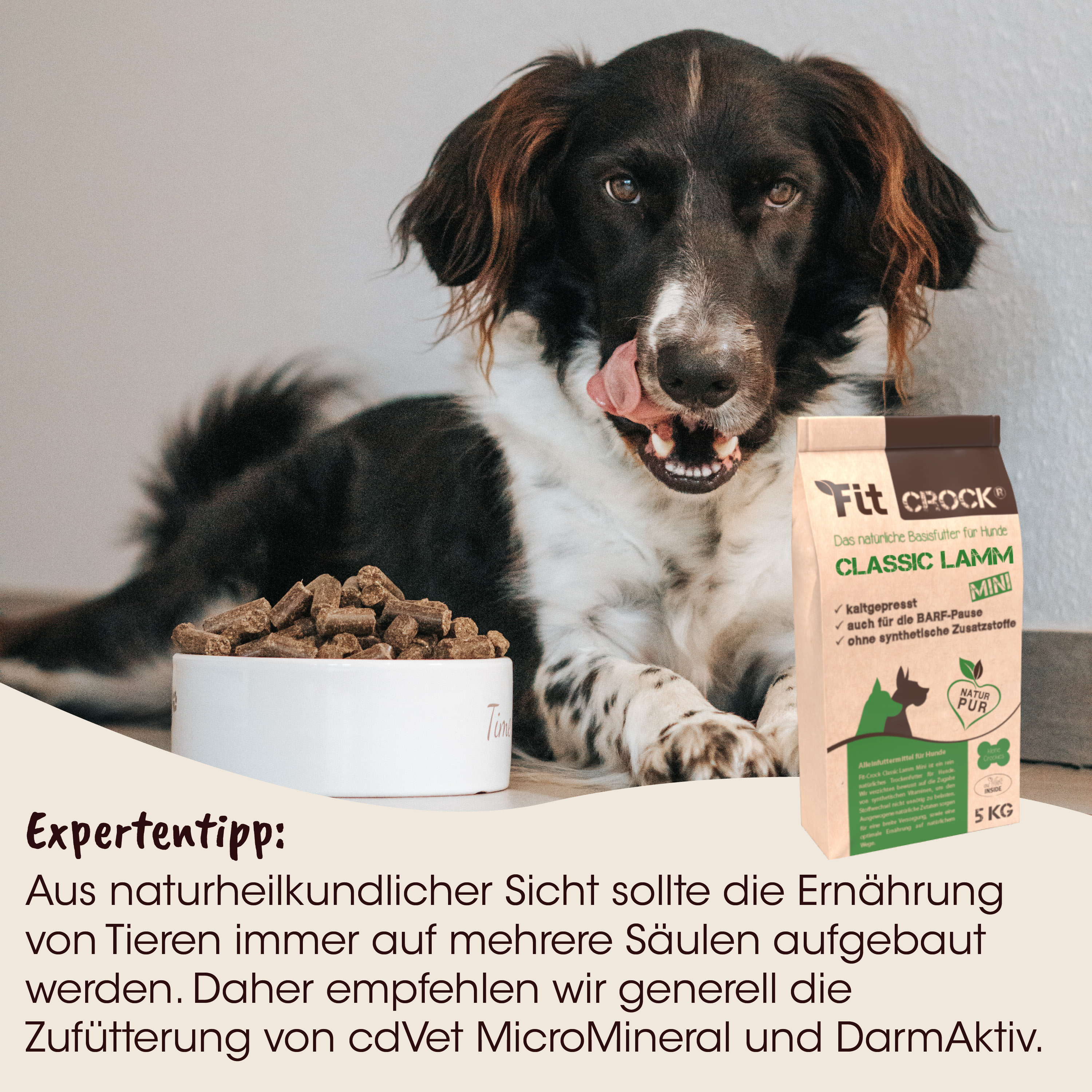 Hundefutter, Kauartikel, Hunde-Leckerli, Proteinfutter, Beutel Verpackung