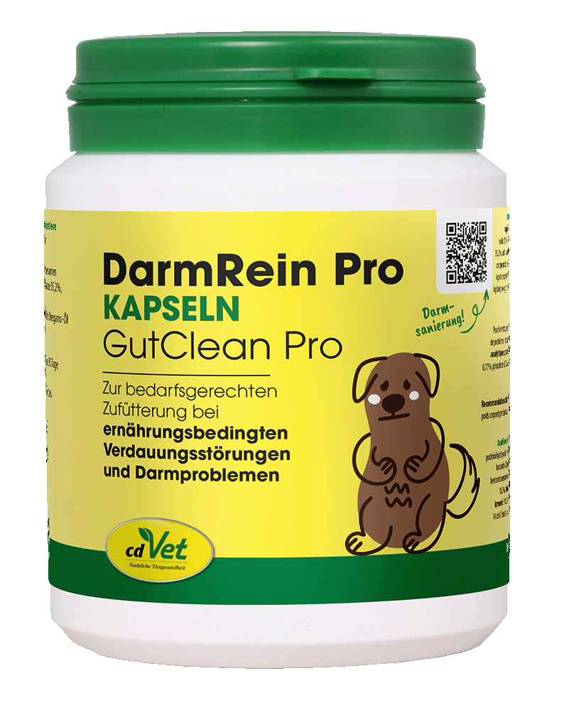 Kapseln, Darmrein, Probiotika, Tierarztbedarf, Hundeernährung