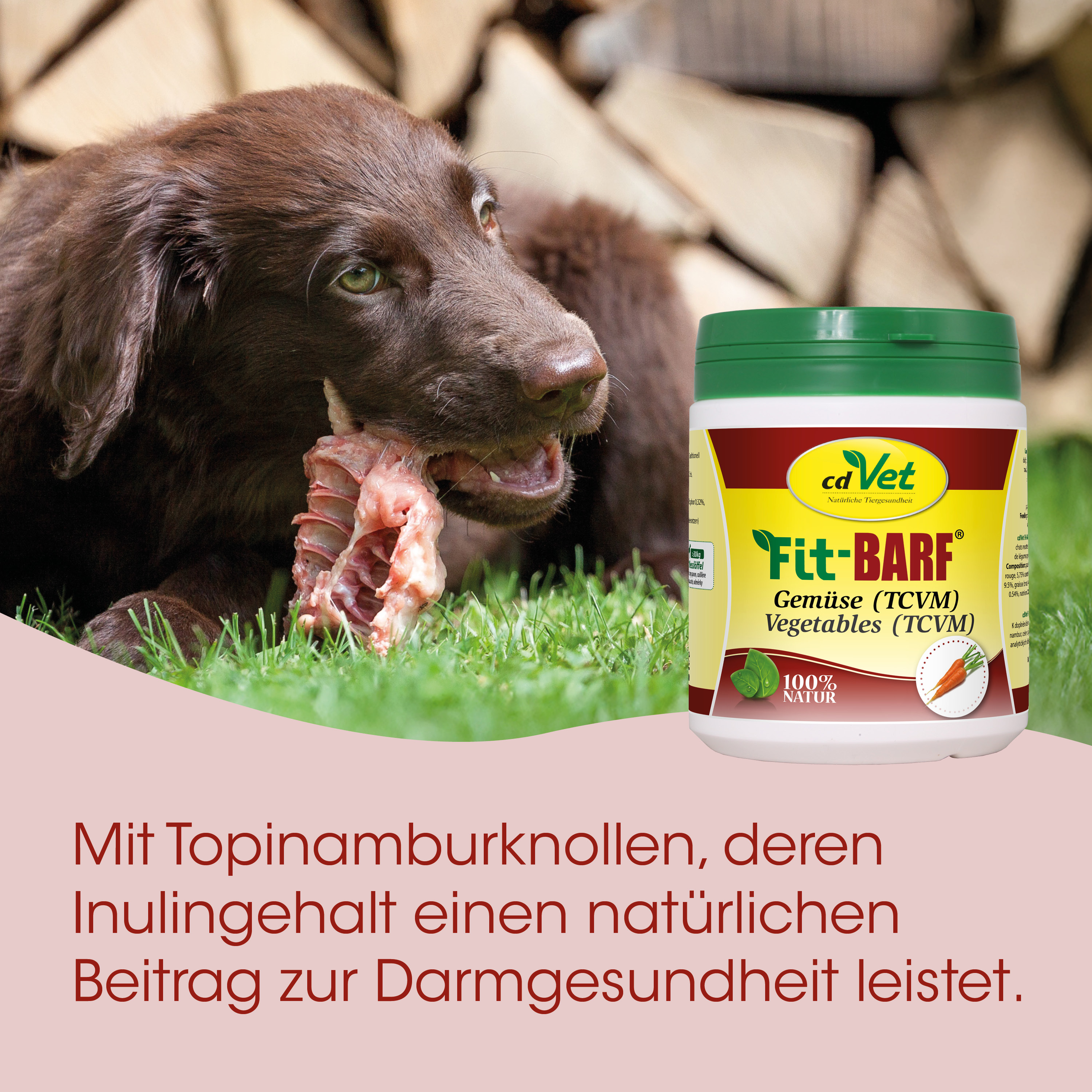 Hund, Kausnack, Futterersatz, Gemüse, Vegetarisch