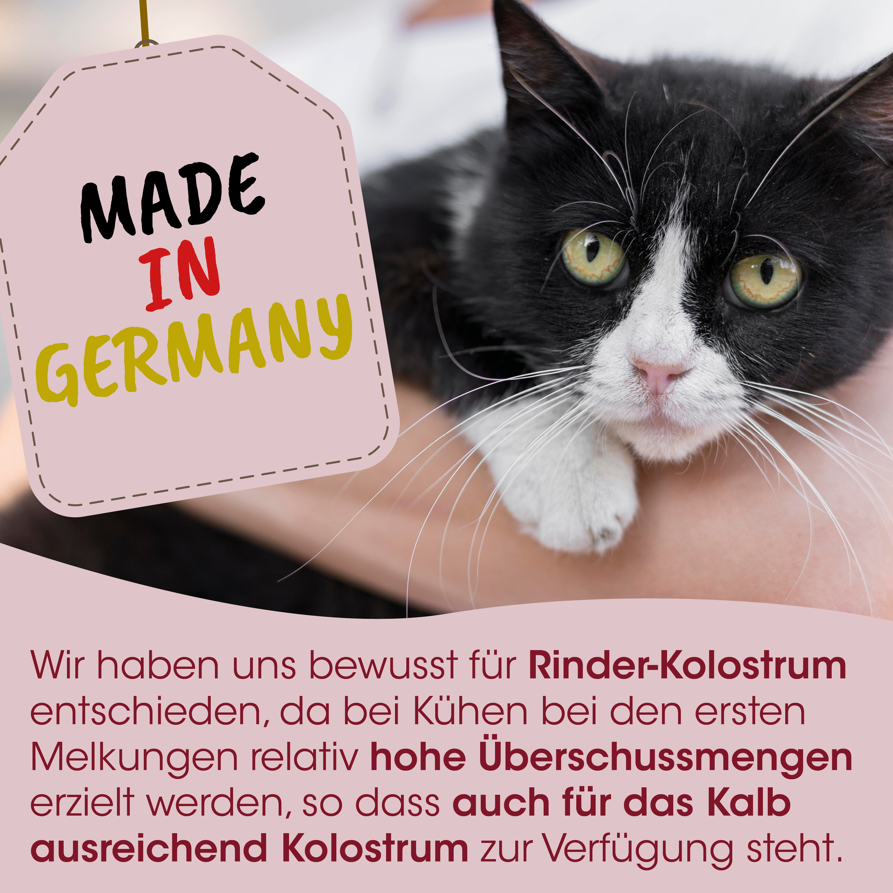 Katze, Schwarzweiß, Haustieretikett, Made in Germany, Katzenpflegeetikett