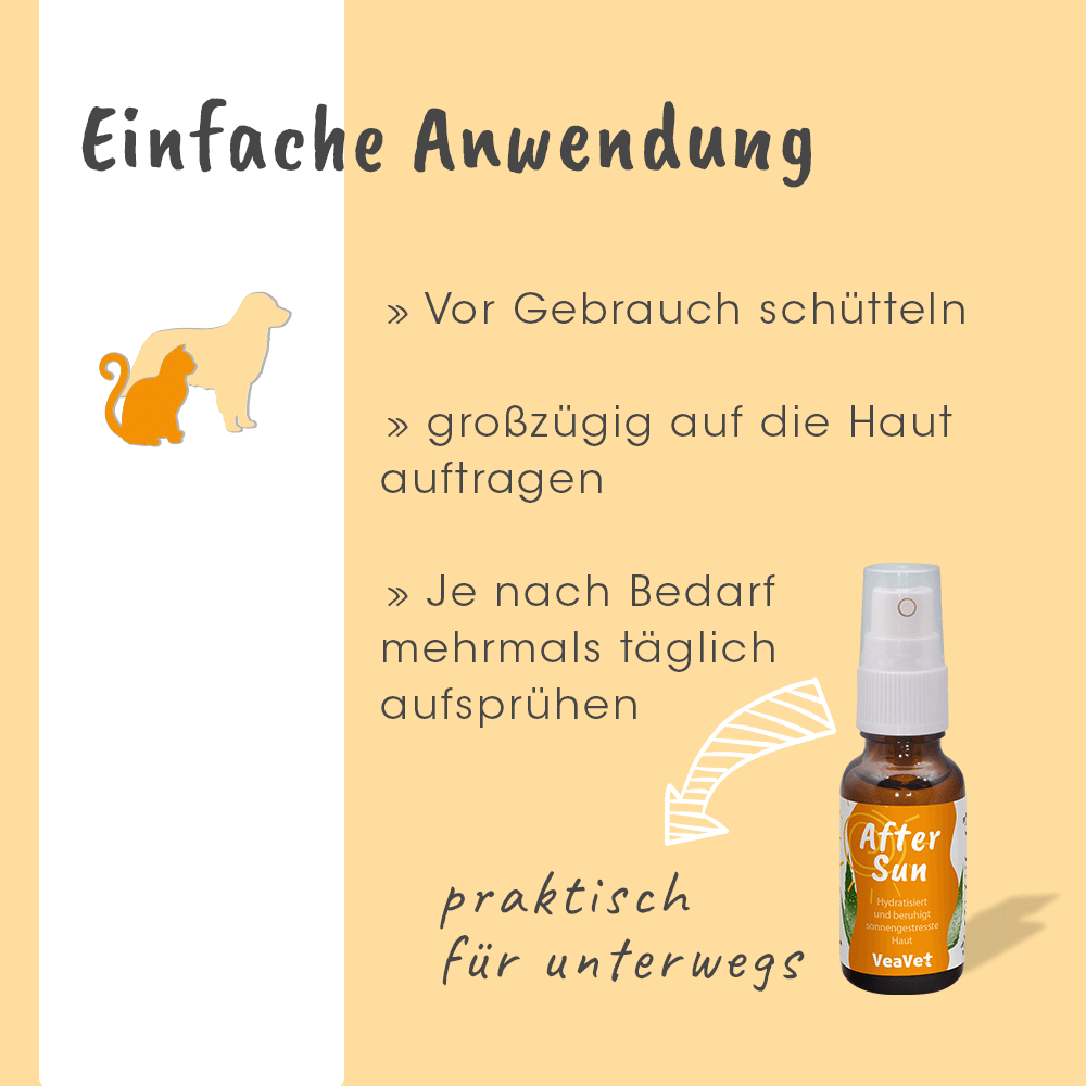 Kräuterig, Pflanze, Sirup, Werbung, Hund