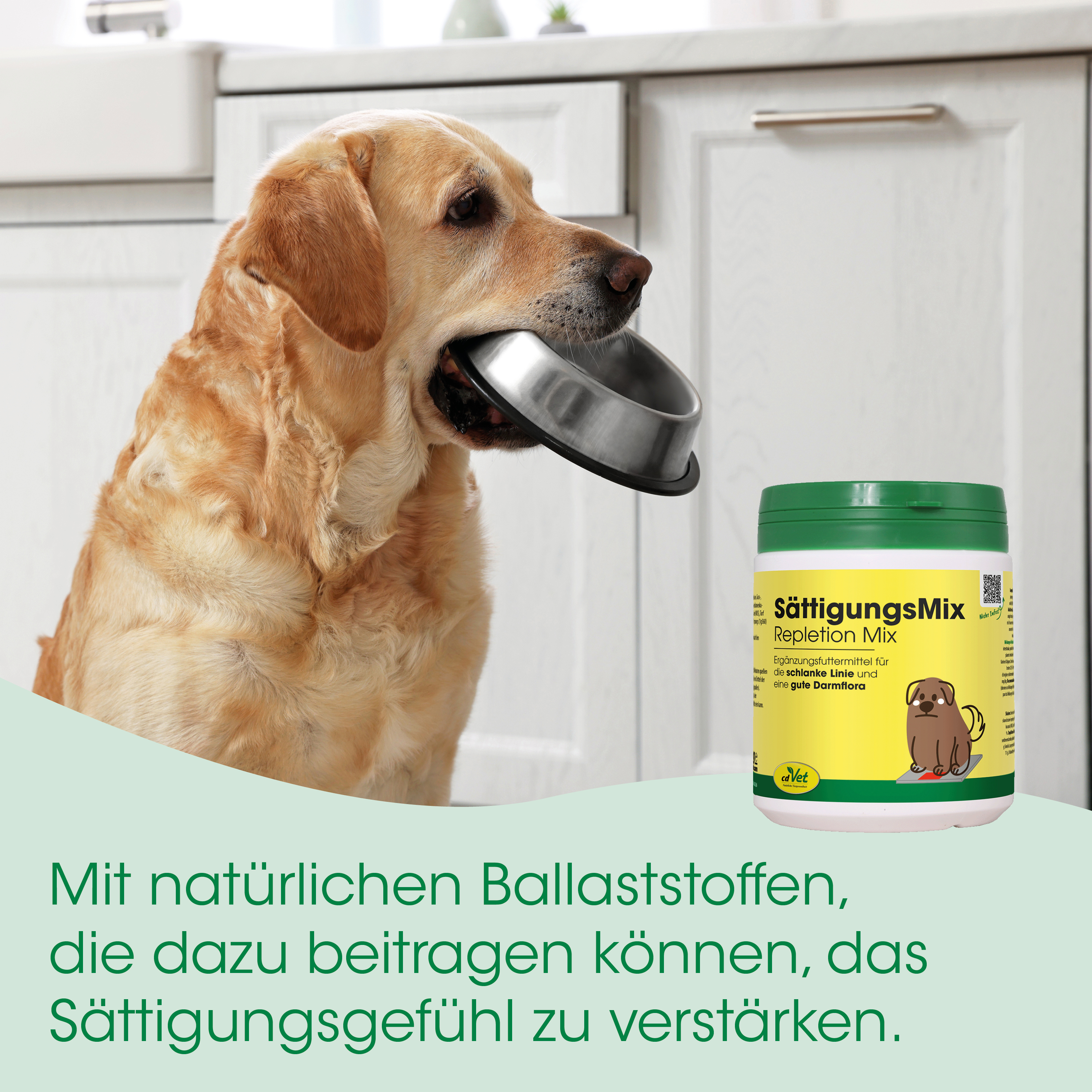 Hund, Hundefutter, Schüssel, Becher/Behälter, SättigungsMix
