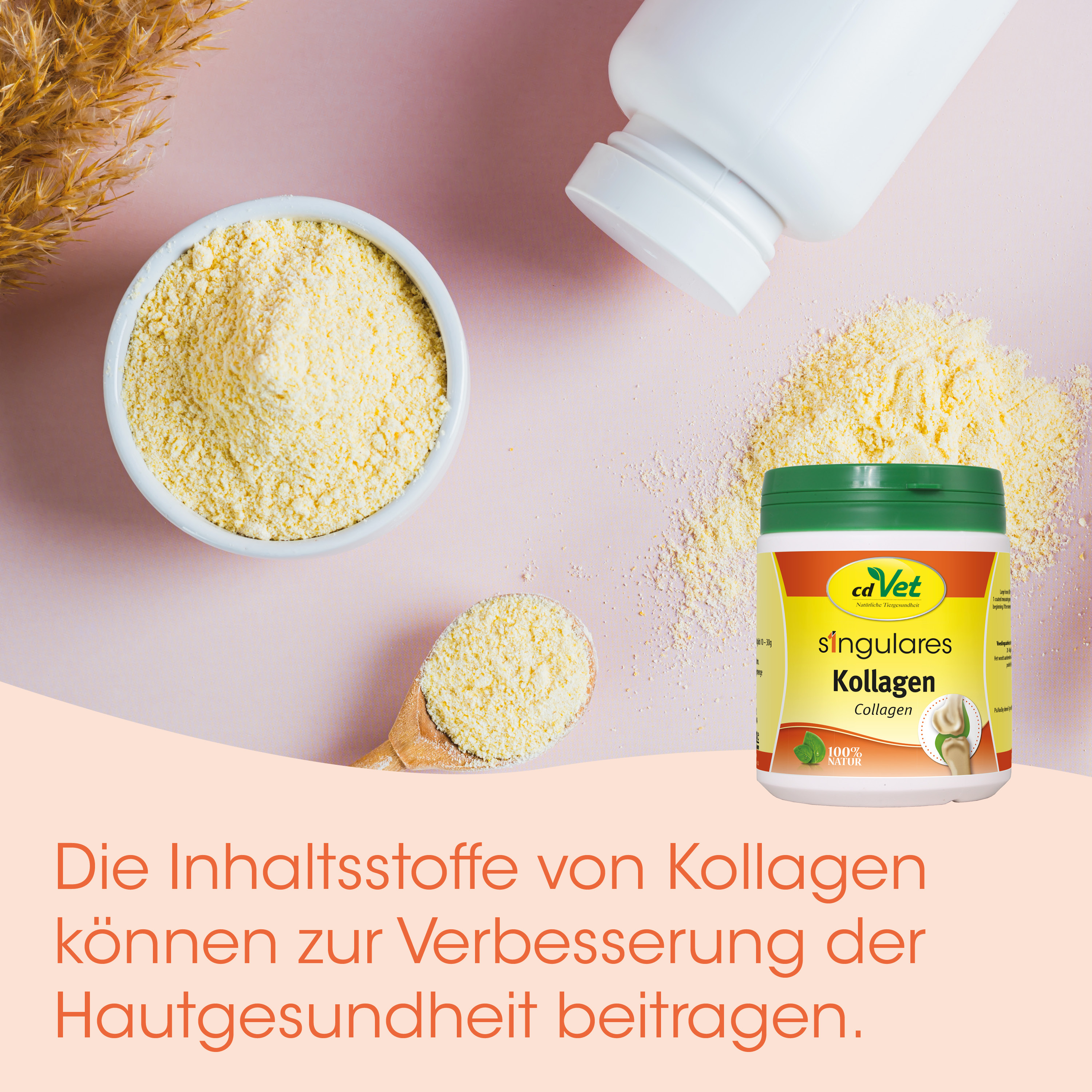Kollagen, Proteinpulver, Pulver, gelbe Pulver, Ergänzungsmittel