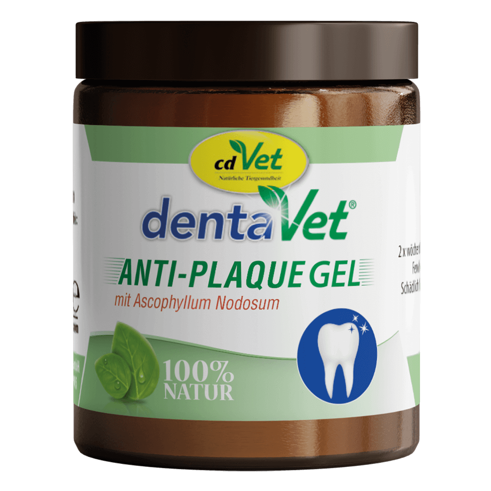 anti-plaque Gel, Zahngel, Tierzahnpflege, Ascopyllum Nodosum, 100% Natur