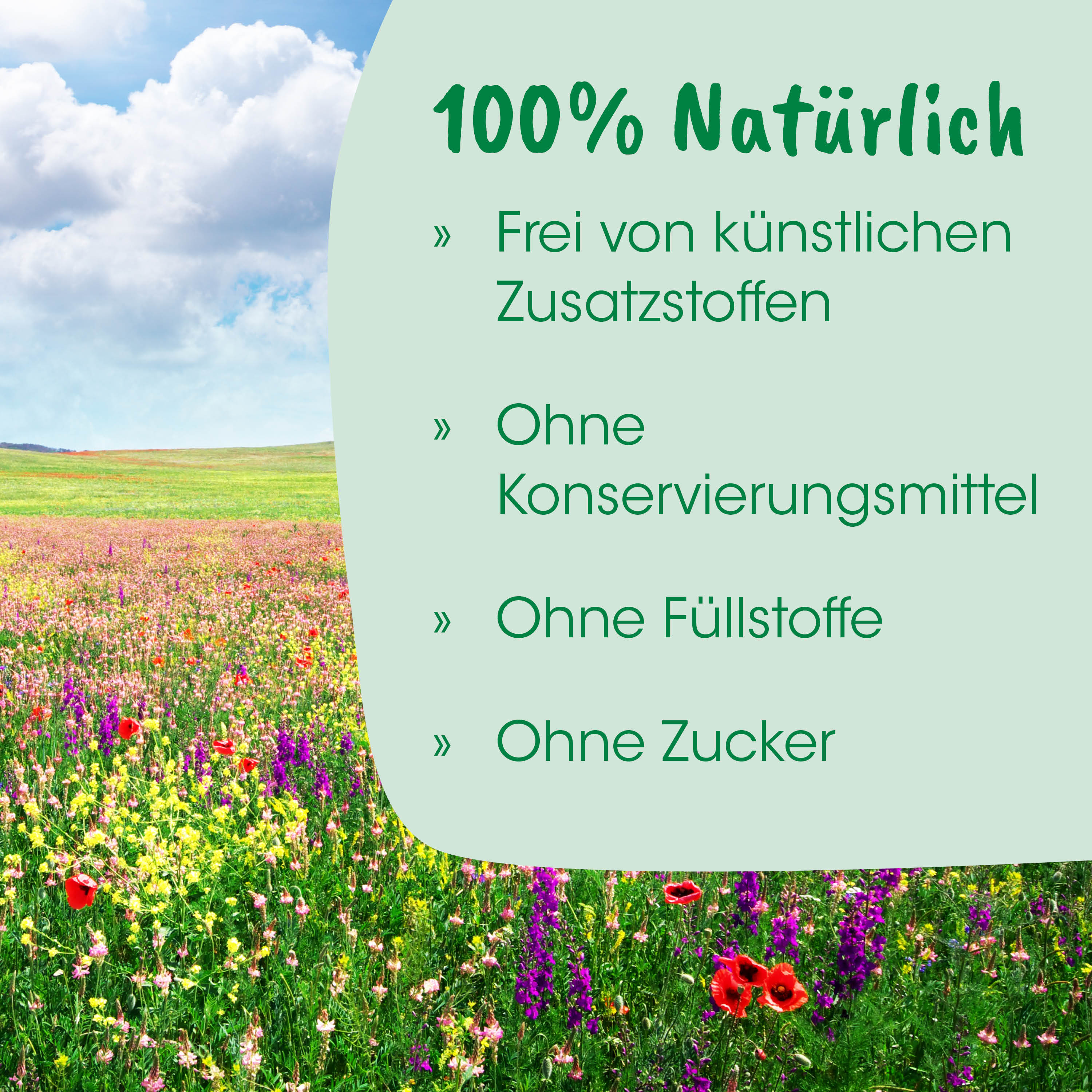 Feld, Blumen, Wiese, Wildblumen, Banner, Text, Anzeige, Natur