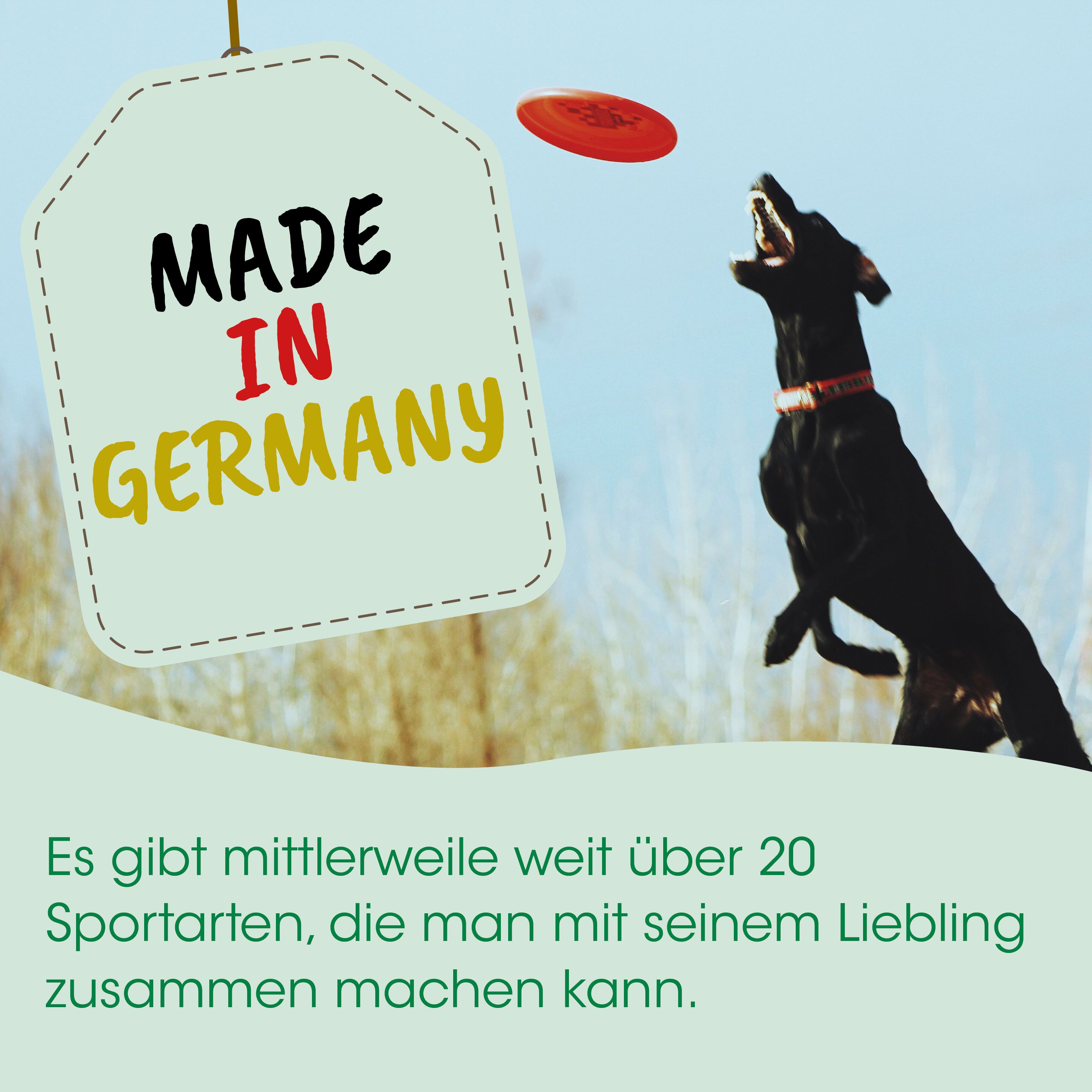 hund, disc, frisbee, 标签, Made in Germany