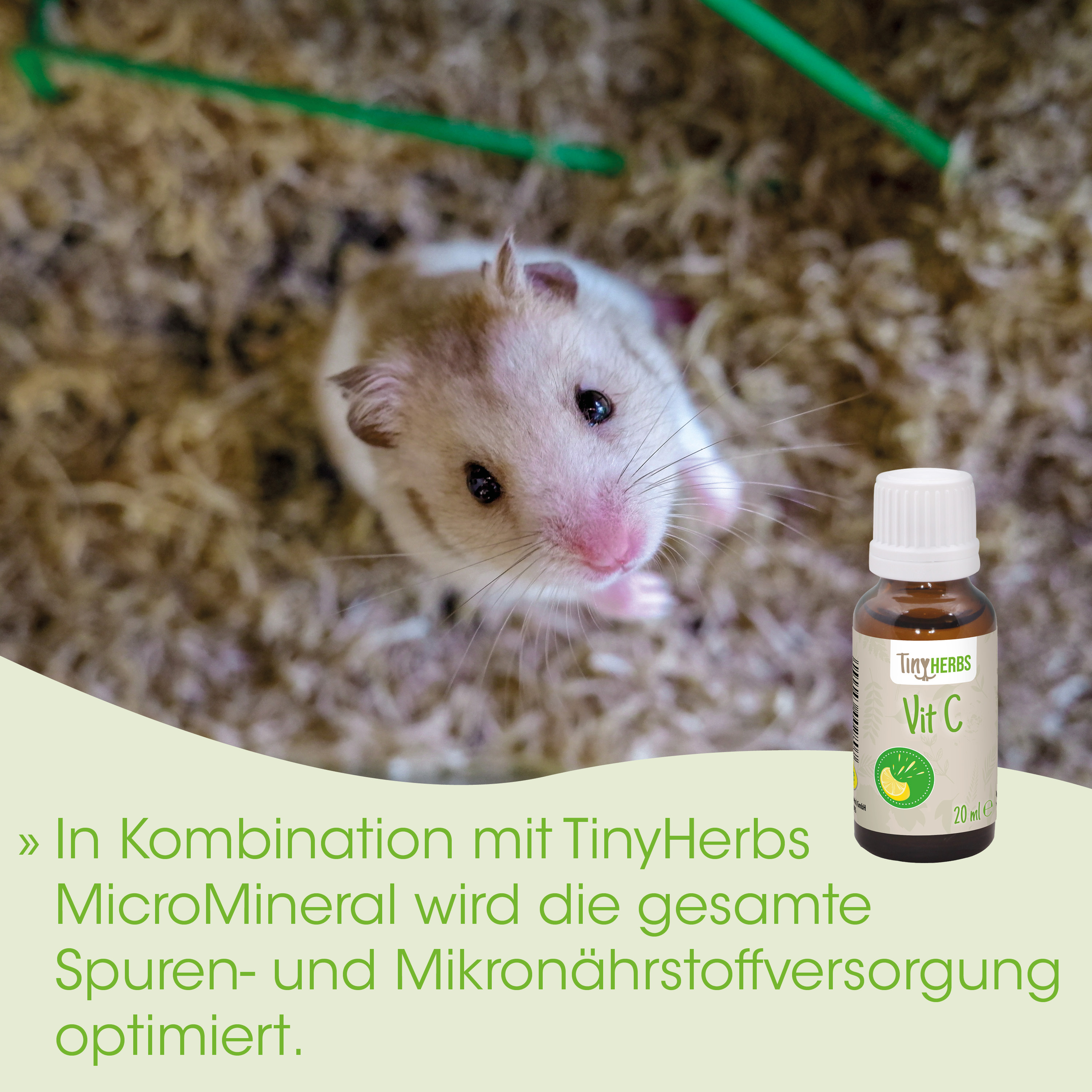 Hamster, Tier, Flasche, Vitamin C, Tiny Herbs