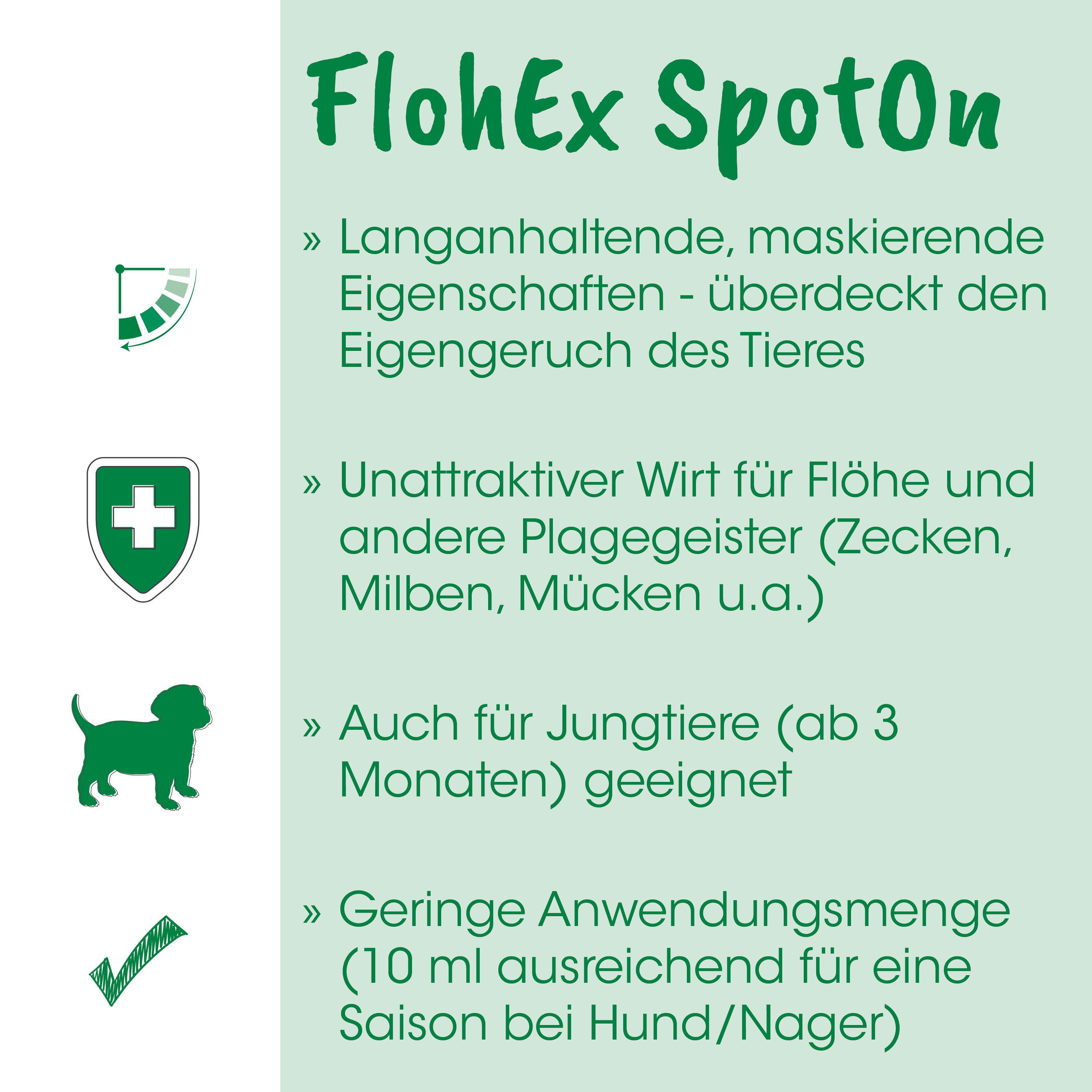 Hund, Tierarzt, Pflege, Medizin, Sicherheit