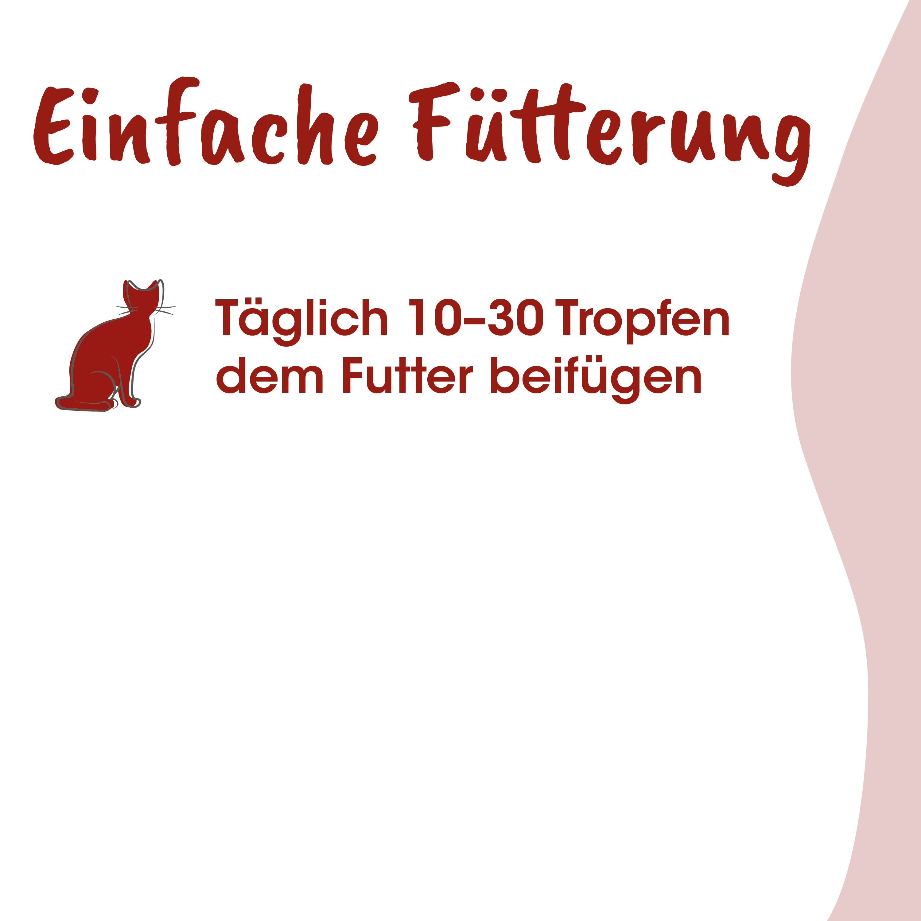 katze, futter, fütterung, täglich, tropfen