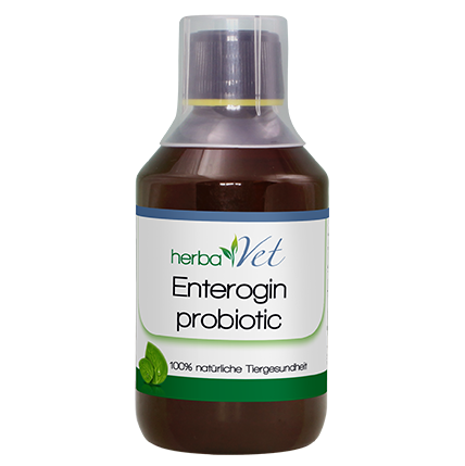 herbaVet Enterogin probiotic 250 ml