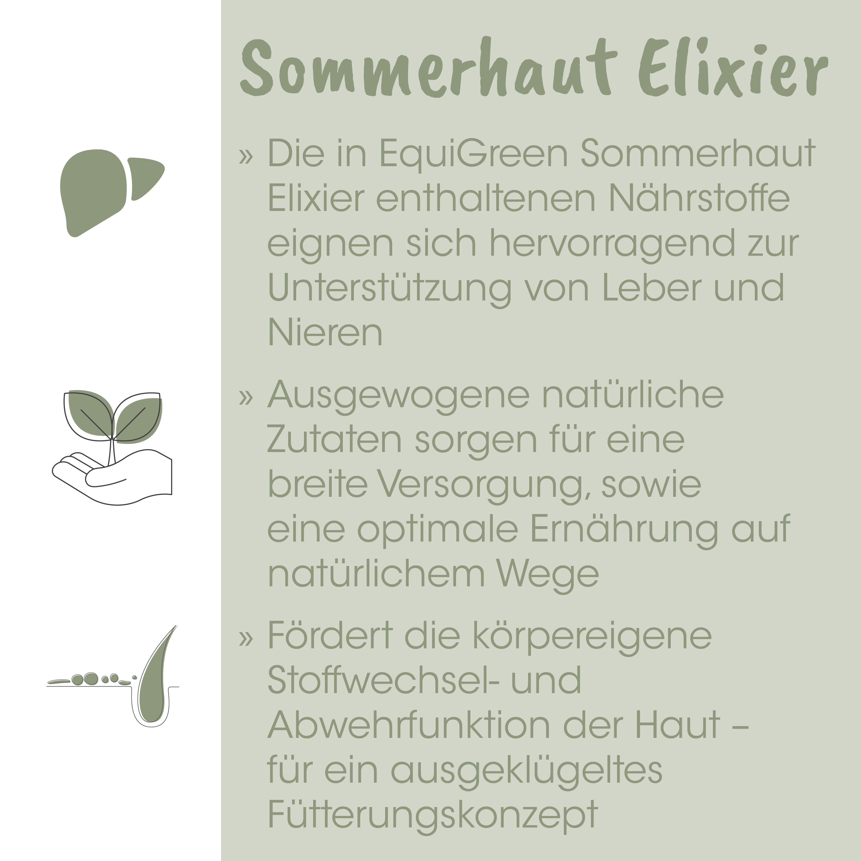 Sommerhut, Elixier, Natürliche Zutat, Pflanze, Nährstoffkonzept