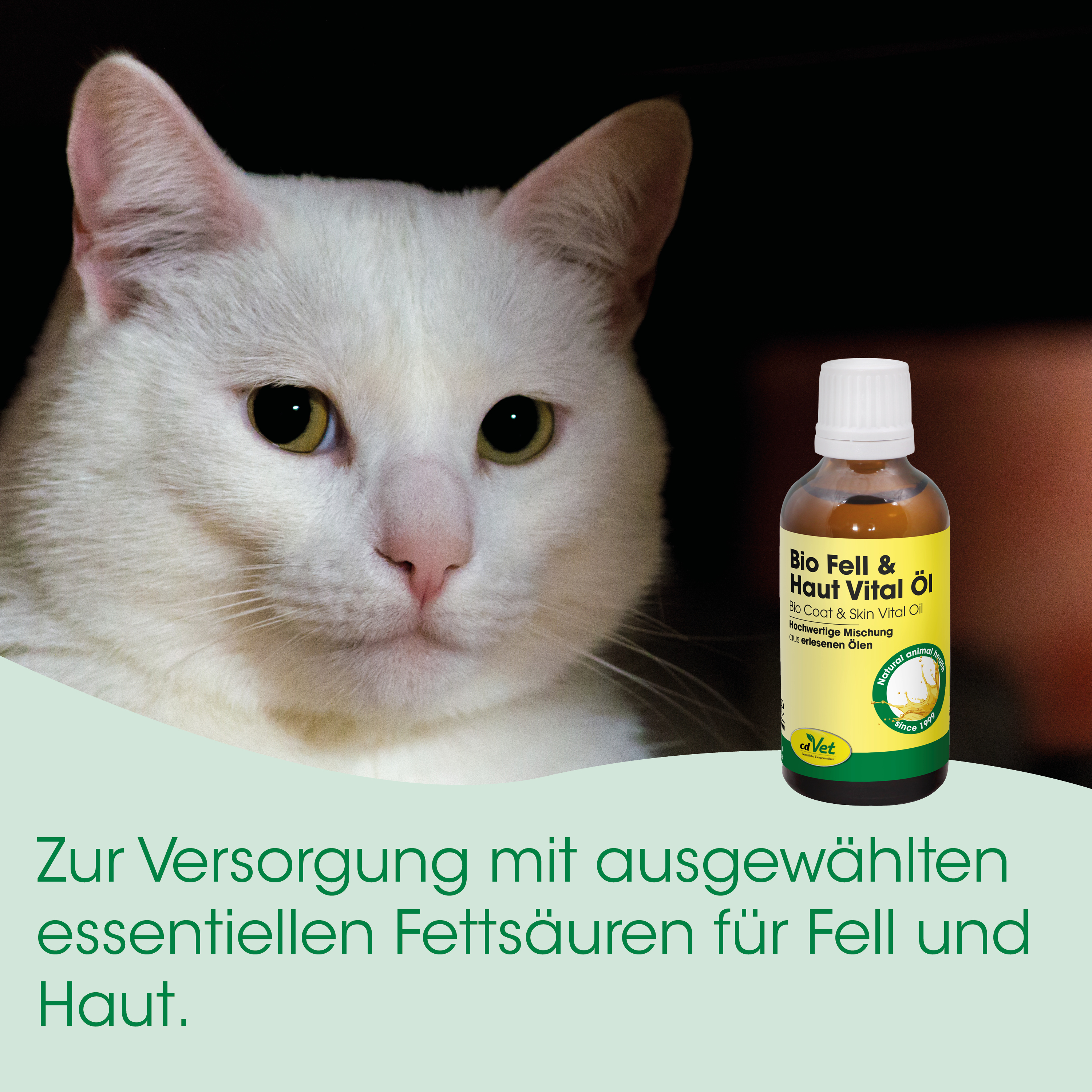 weiße Katze, Katzenöl, Tiernahrungsergänzung, Flasche mit Etikett, Auge Katze