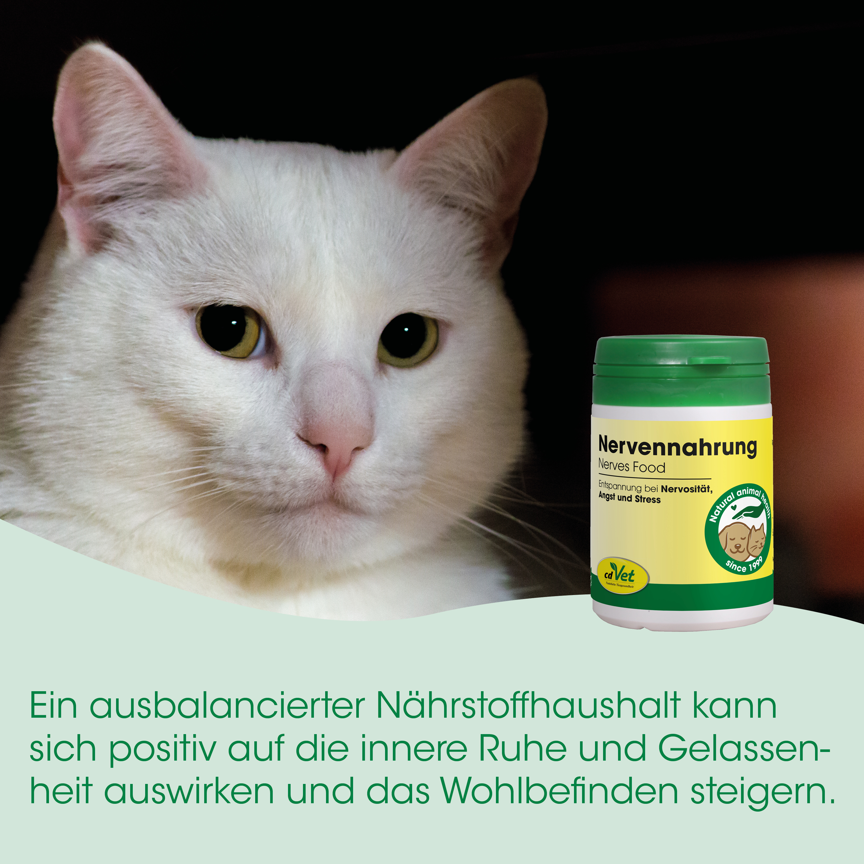 Katze, weißes Fell, rosa Nase, grüne Flasche, Haustier-Ergänzung