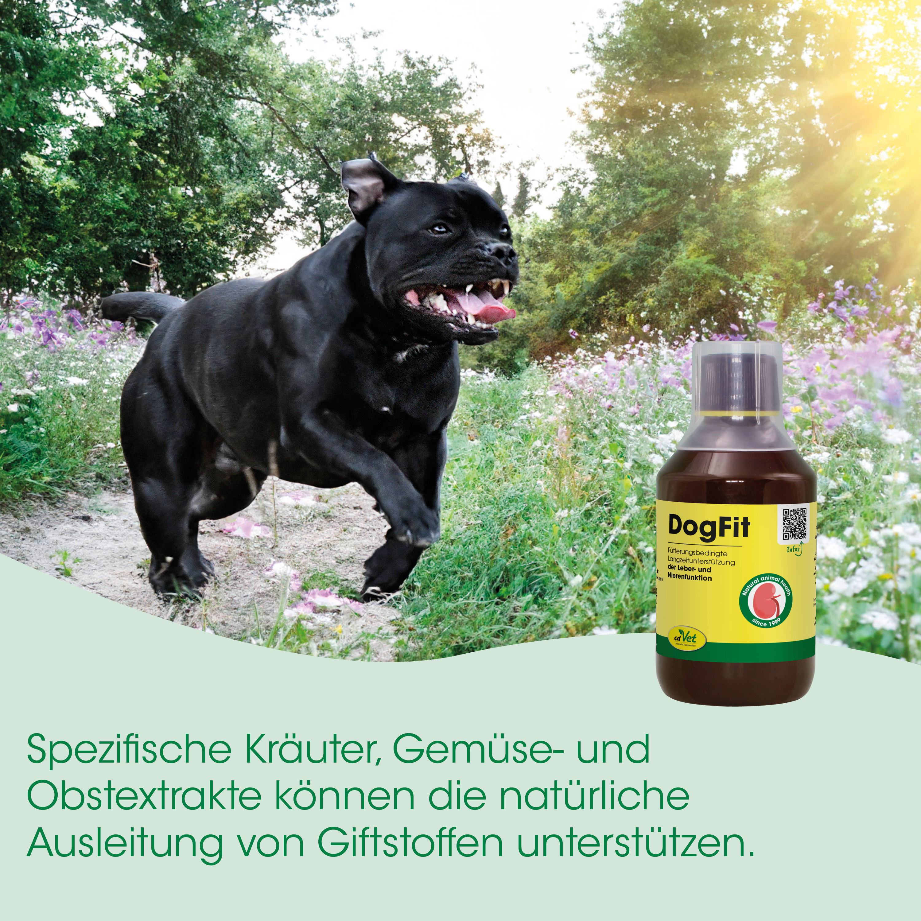 Hund, Hundegerät, DogFit, Flasche, Gerät mit Flüssigkeit