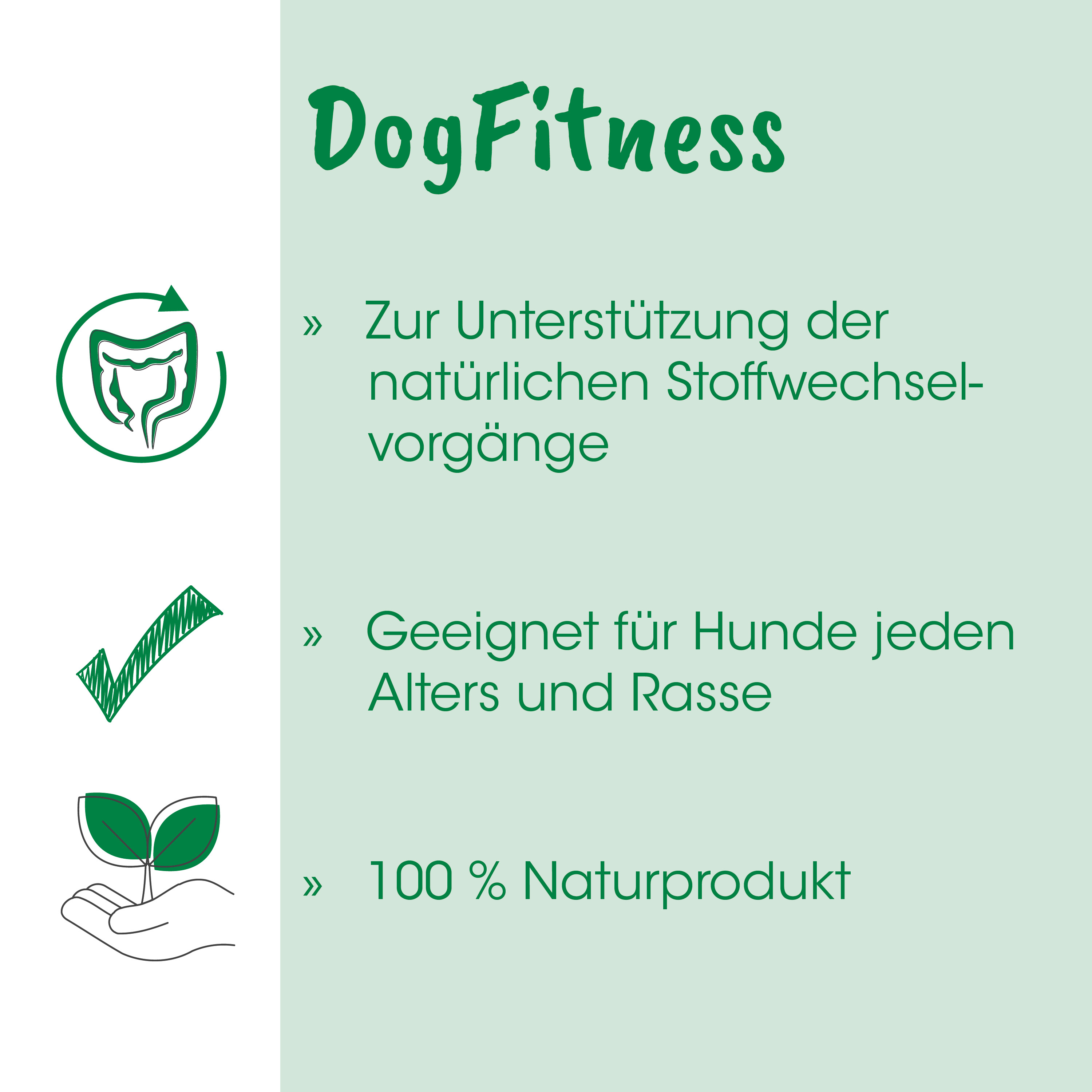 DogFitness, natürlich, Pflanze, Hand, grün