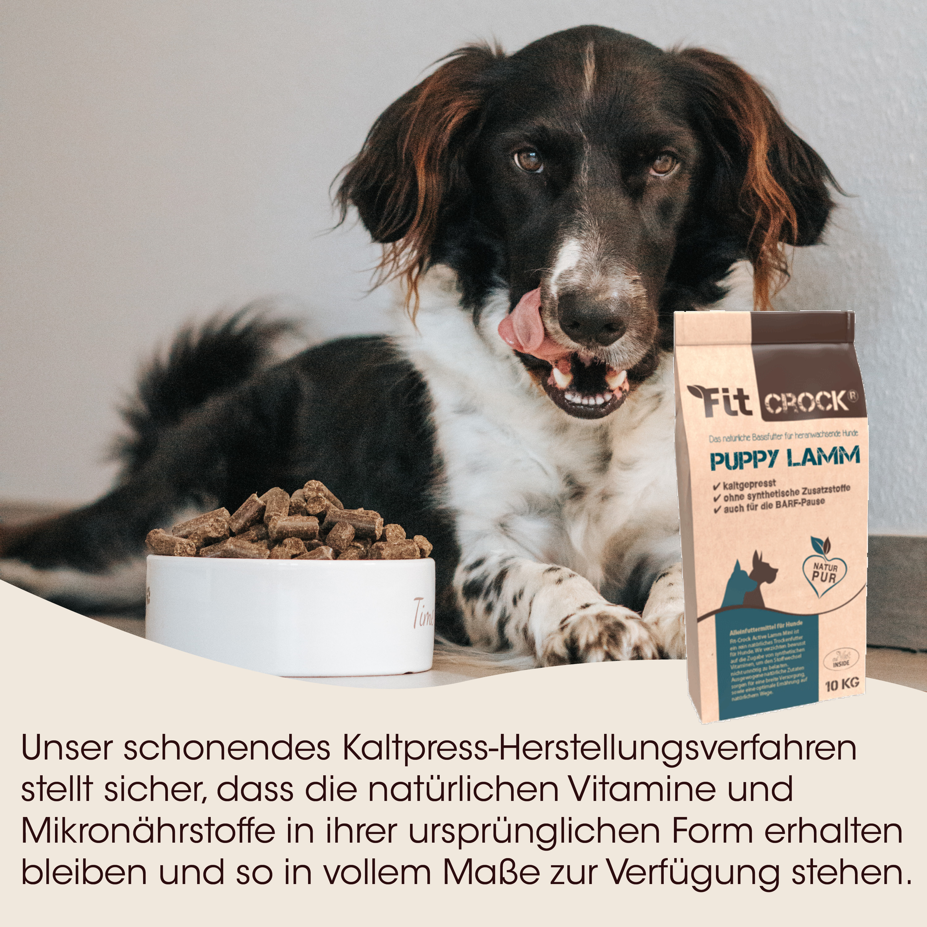 Hund, Hunde-Nahrung, Kauknochen, Trockenfutter, 10 kg