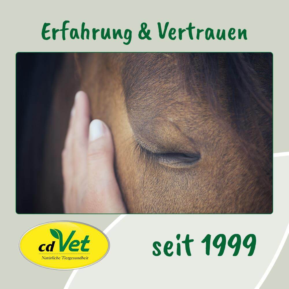 Pferd, Nahaufnahme, Auge, Haar, Tierarzt-Logo