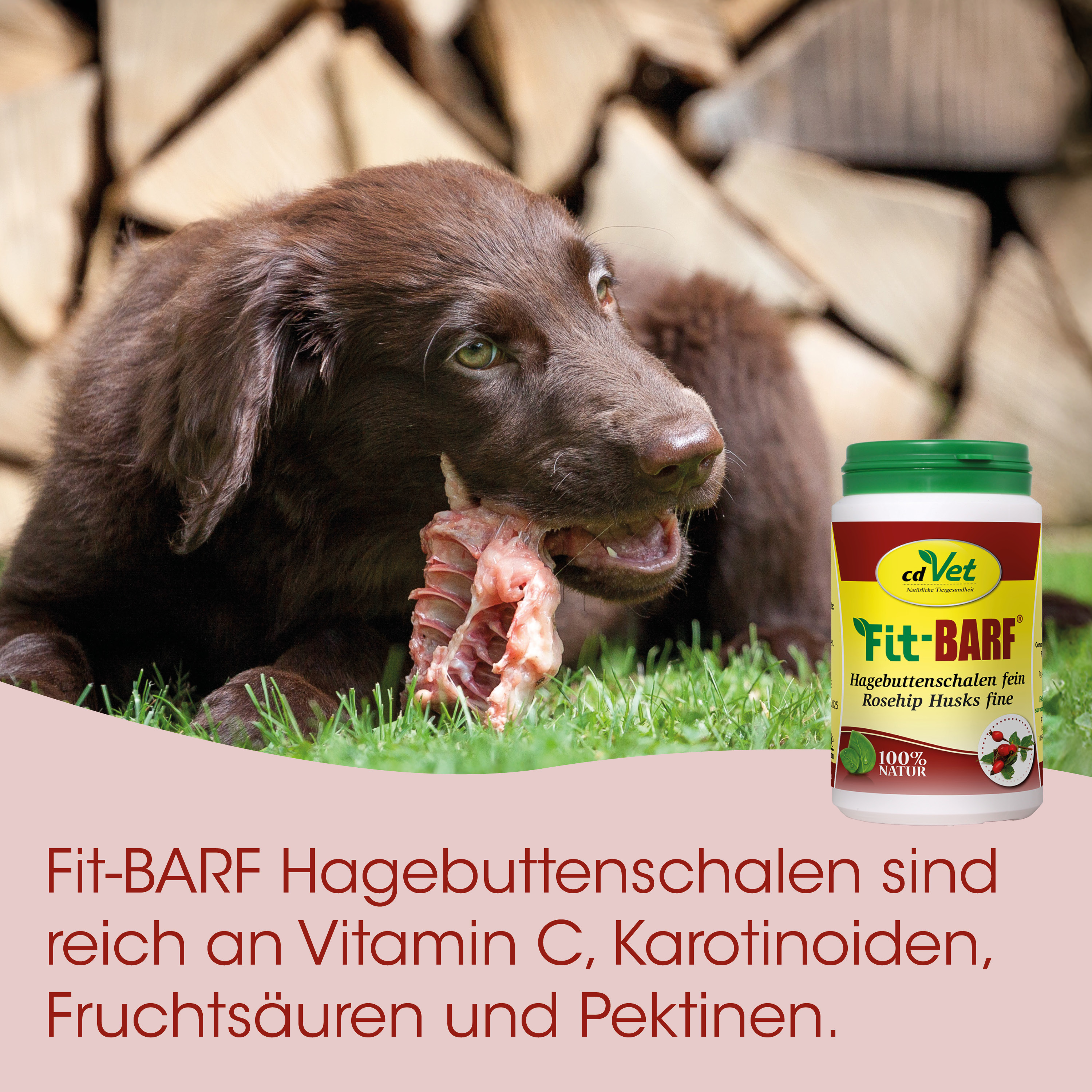 Hund, Kausnippet, Kauartikel, Rohhaut, Ergänzungsflasche