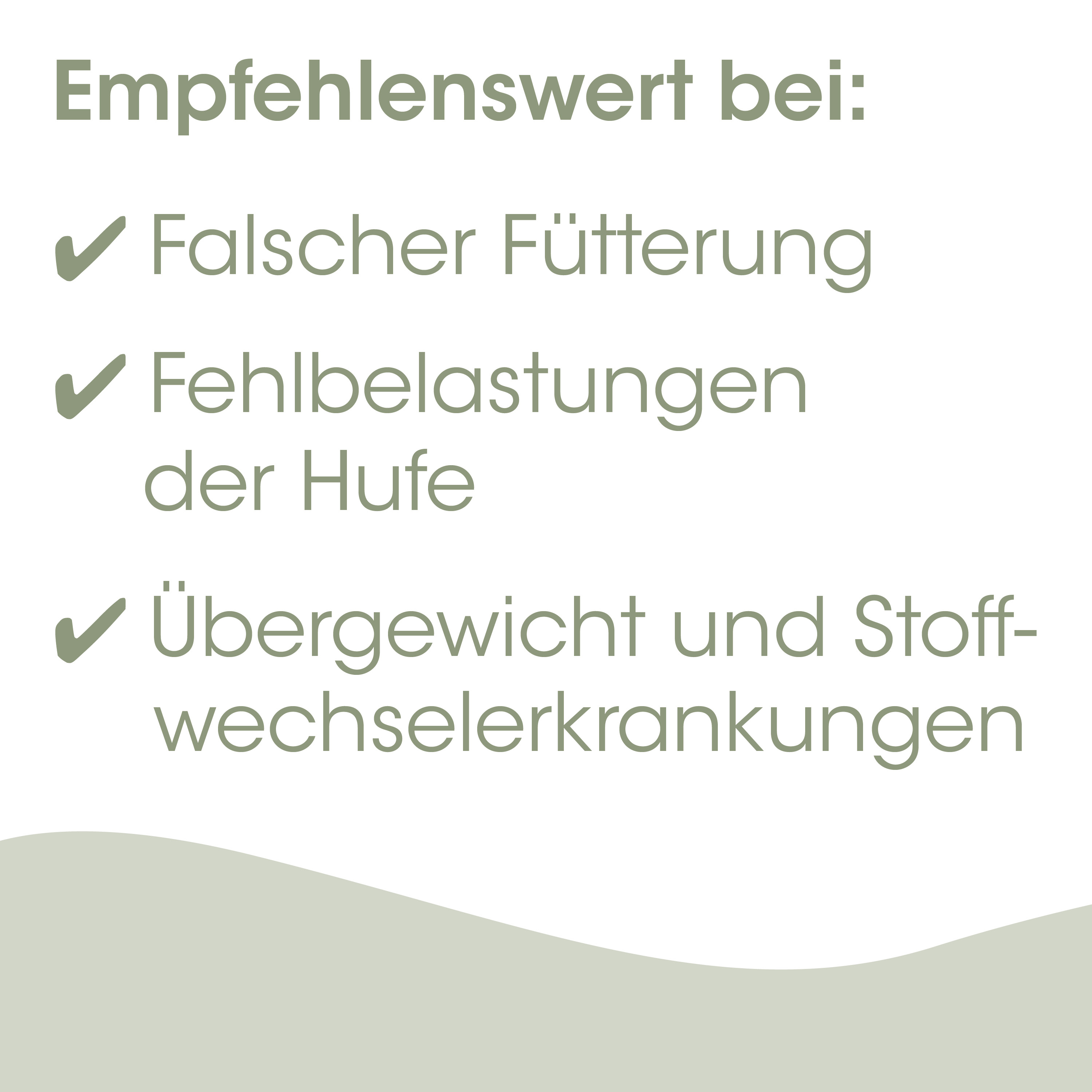 Schaufensterbild, Falsche Fütterung, Hufe, Übergewicht, Stoffwechselkrankheiten