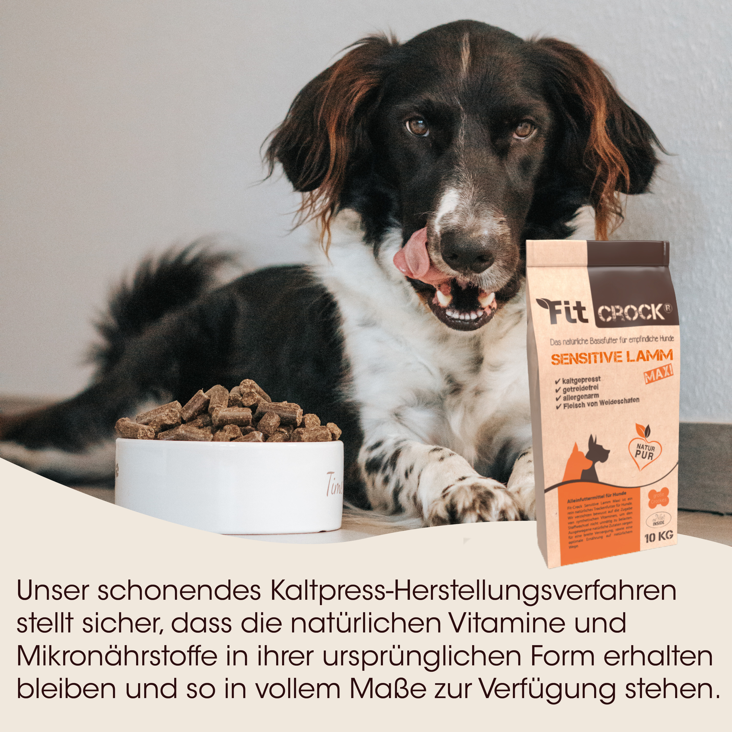 Hund, Hundefutter, Tierknabbersnack, braunweiß, Futtertüte