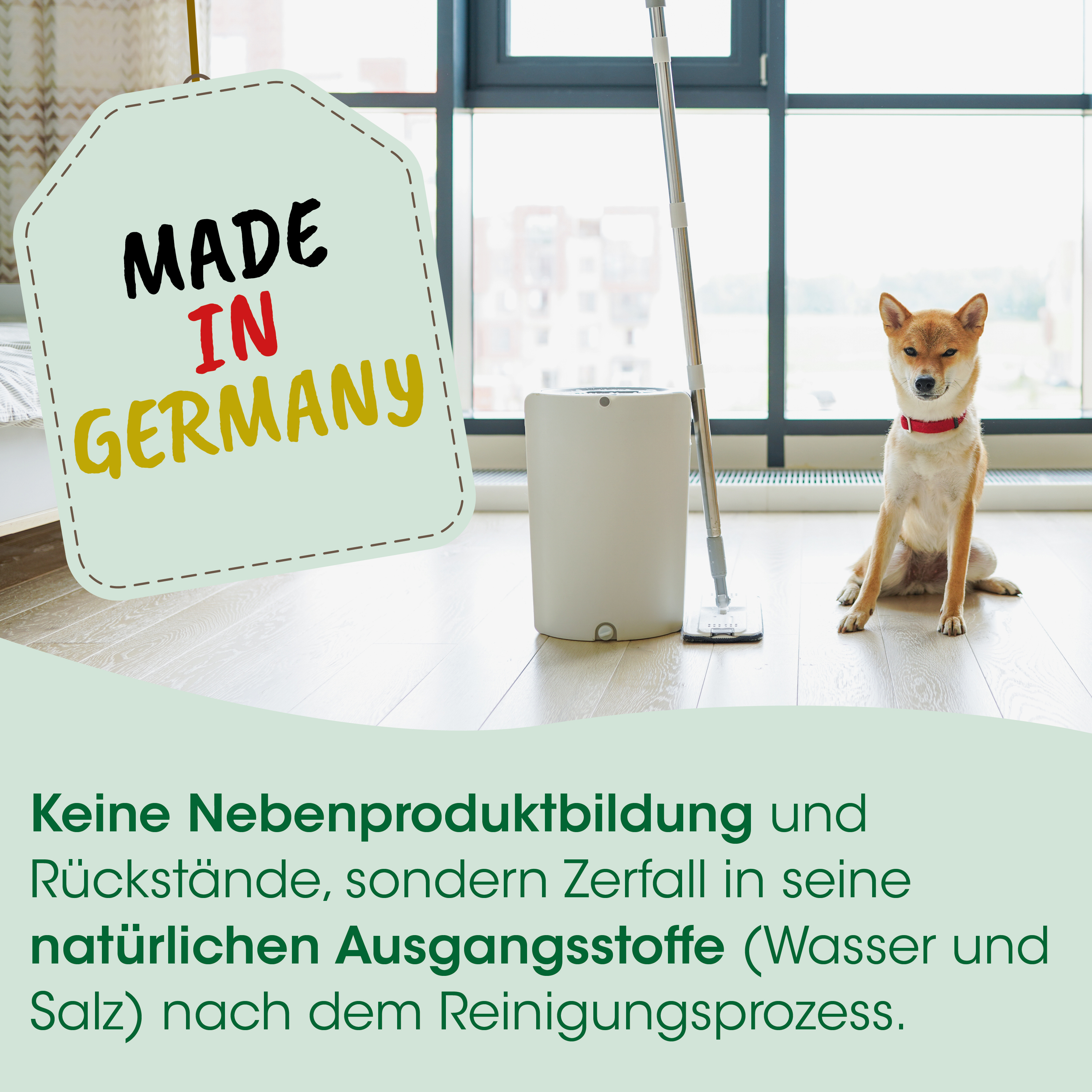 Hund, roter Halsband, Shiba-Inu, Staubsauger, Reinigungsgerät