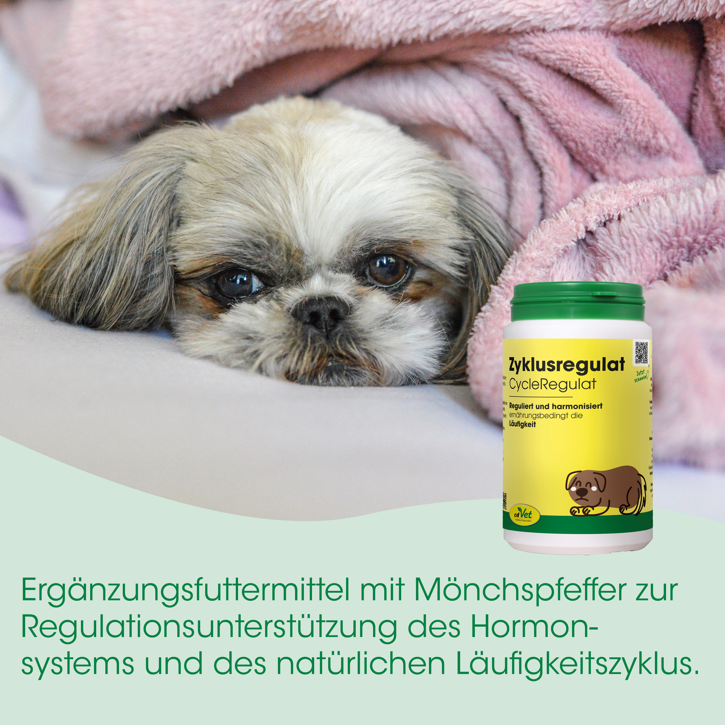 Hund, Hunde Nahrungsergänzung, Kapseln, Gelb Verpackung, Mönchspfeffer